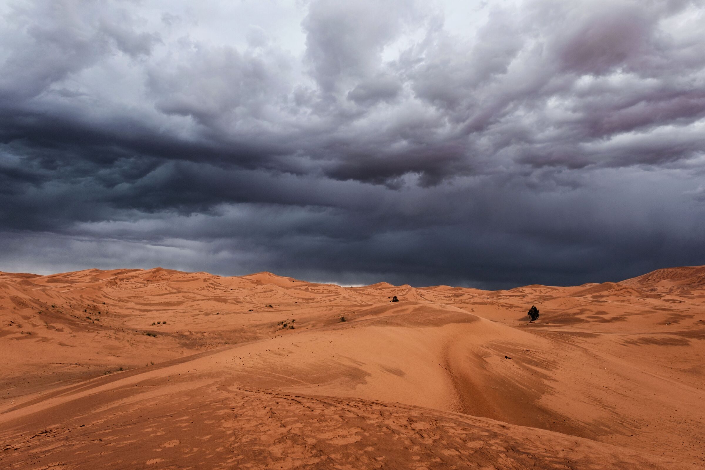 Wet dunes under stormy skies
