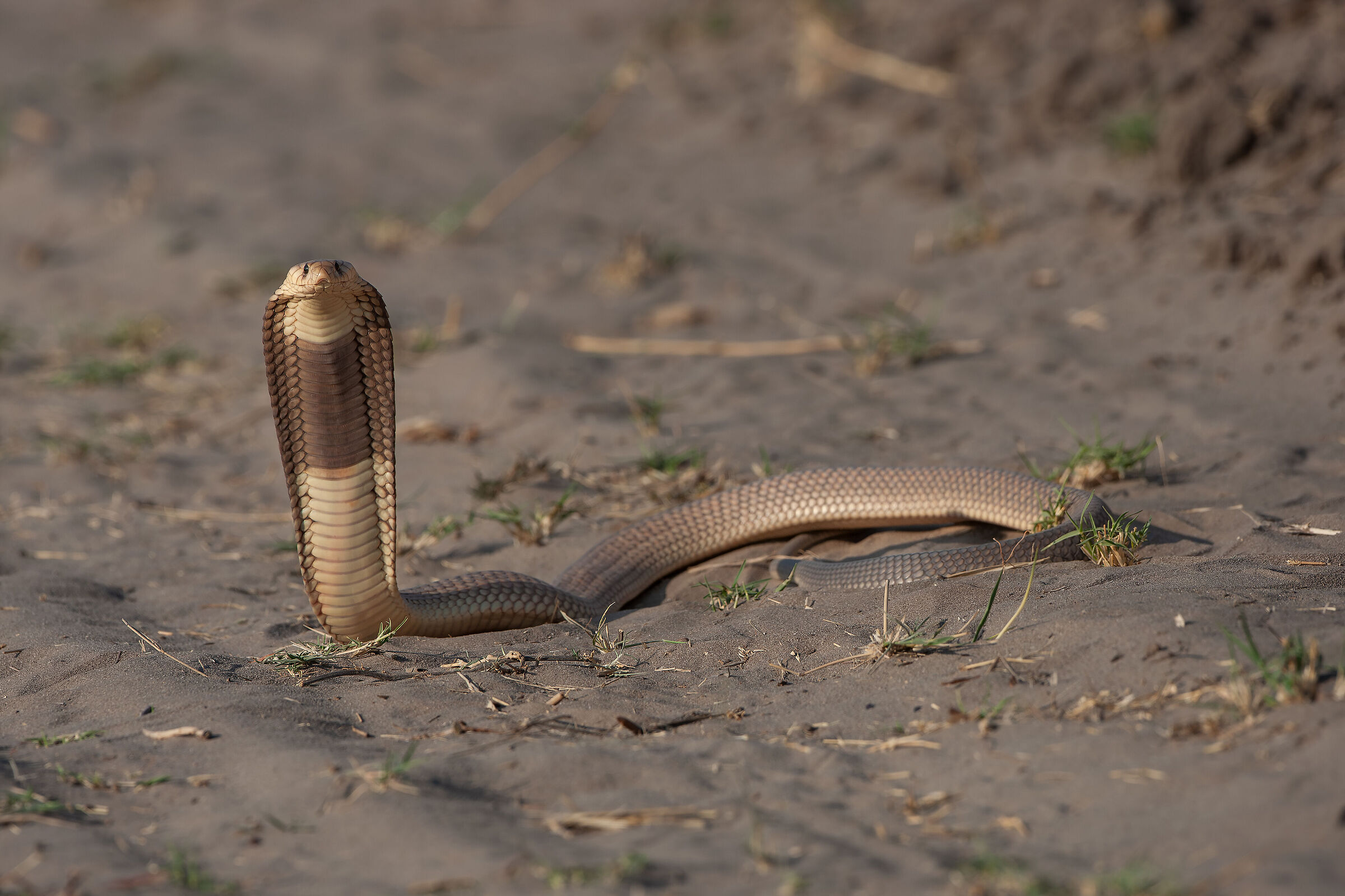 ...ognuno per la propria strada