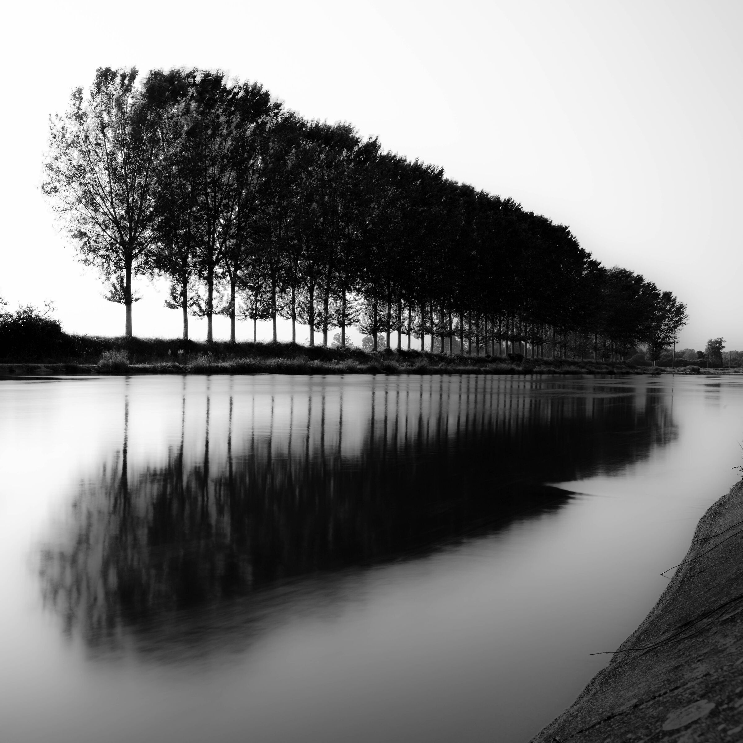 La muzza in un caldo dì di giugno