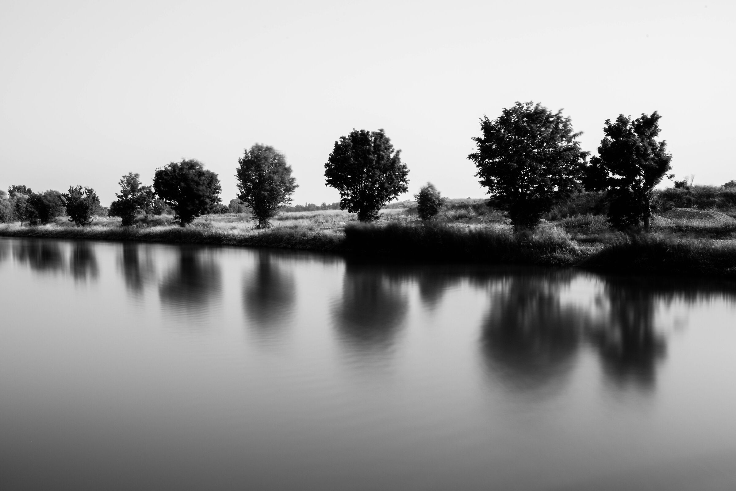 La Muzza, alberi in attesa
