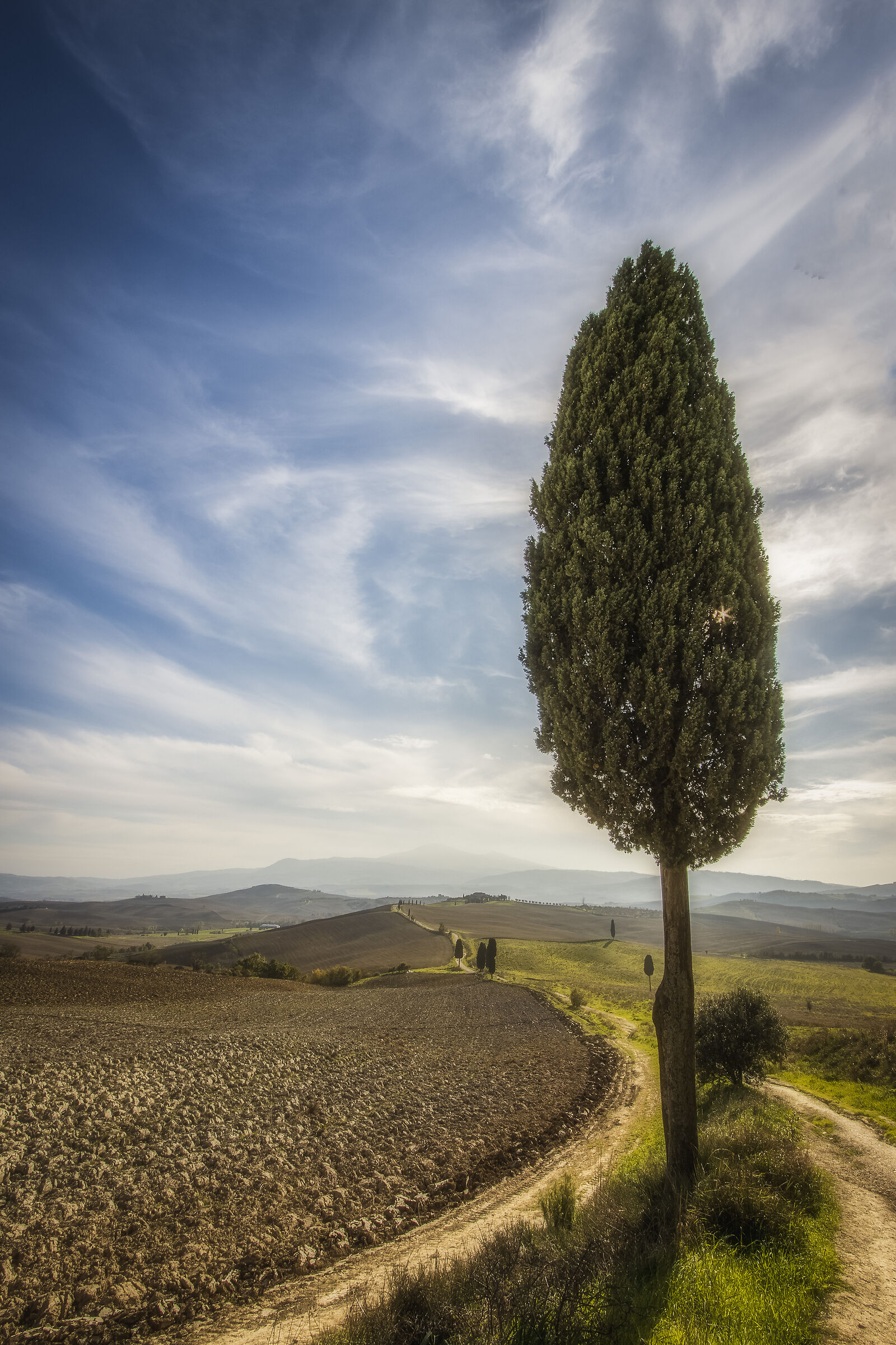 The Gladiator's Way