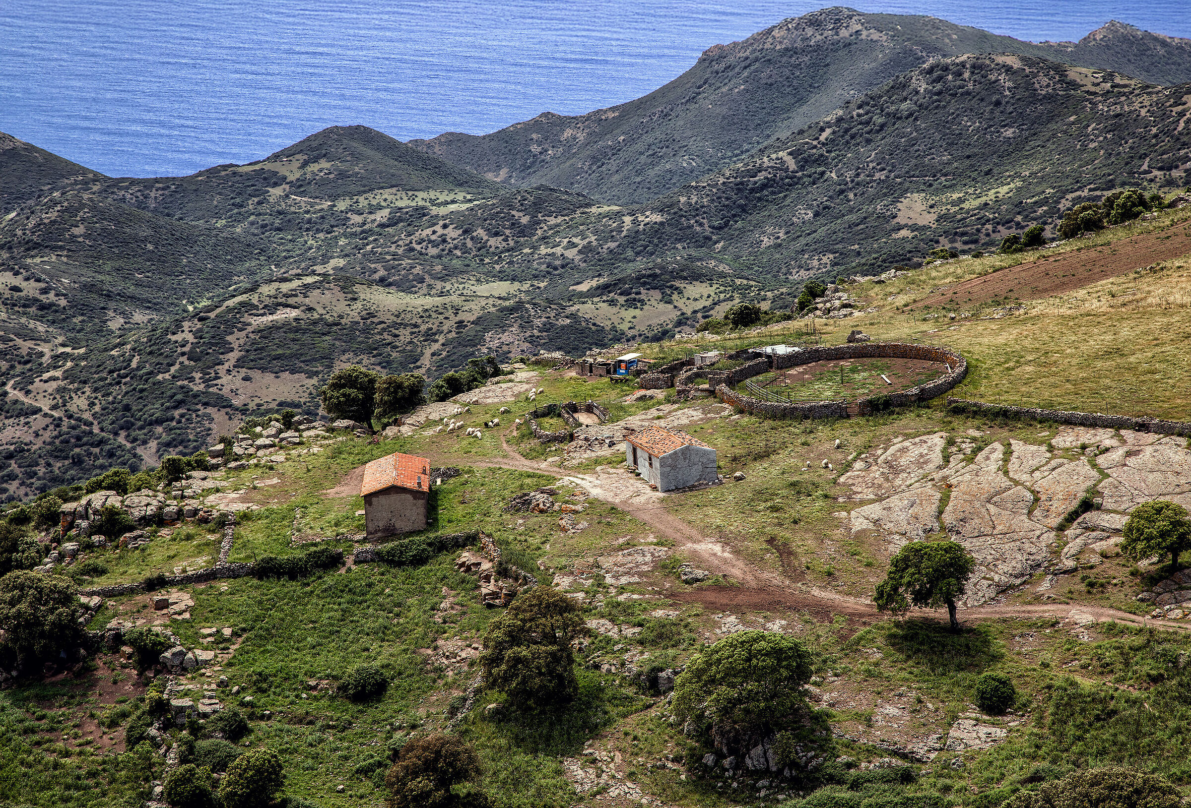 The sheepfold between the mountain and the sea