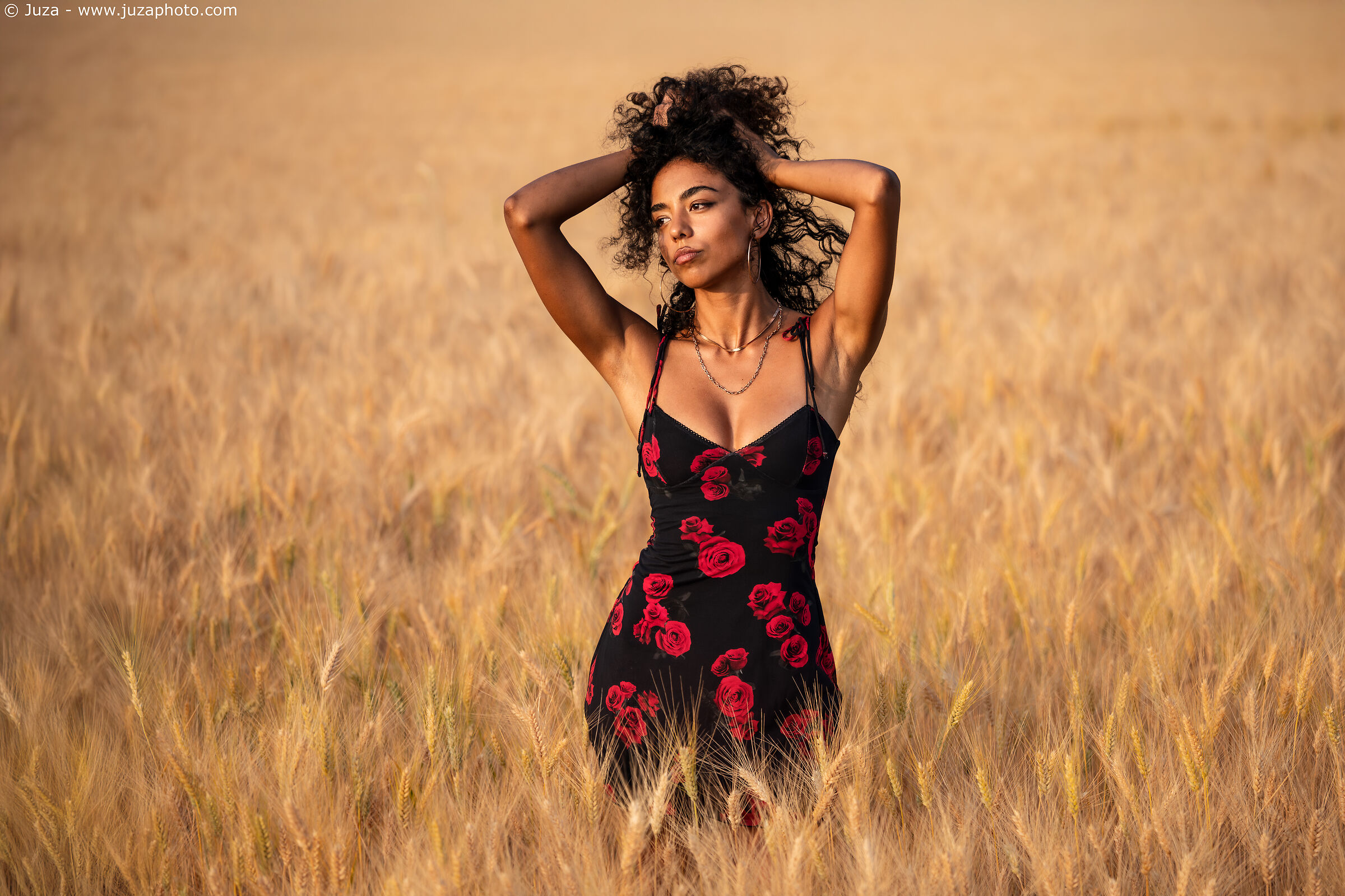 Miriam Nan - Un dorato campo di grano