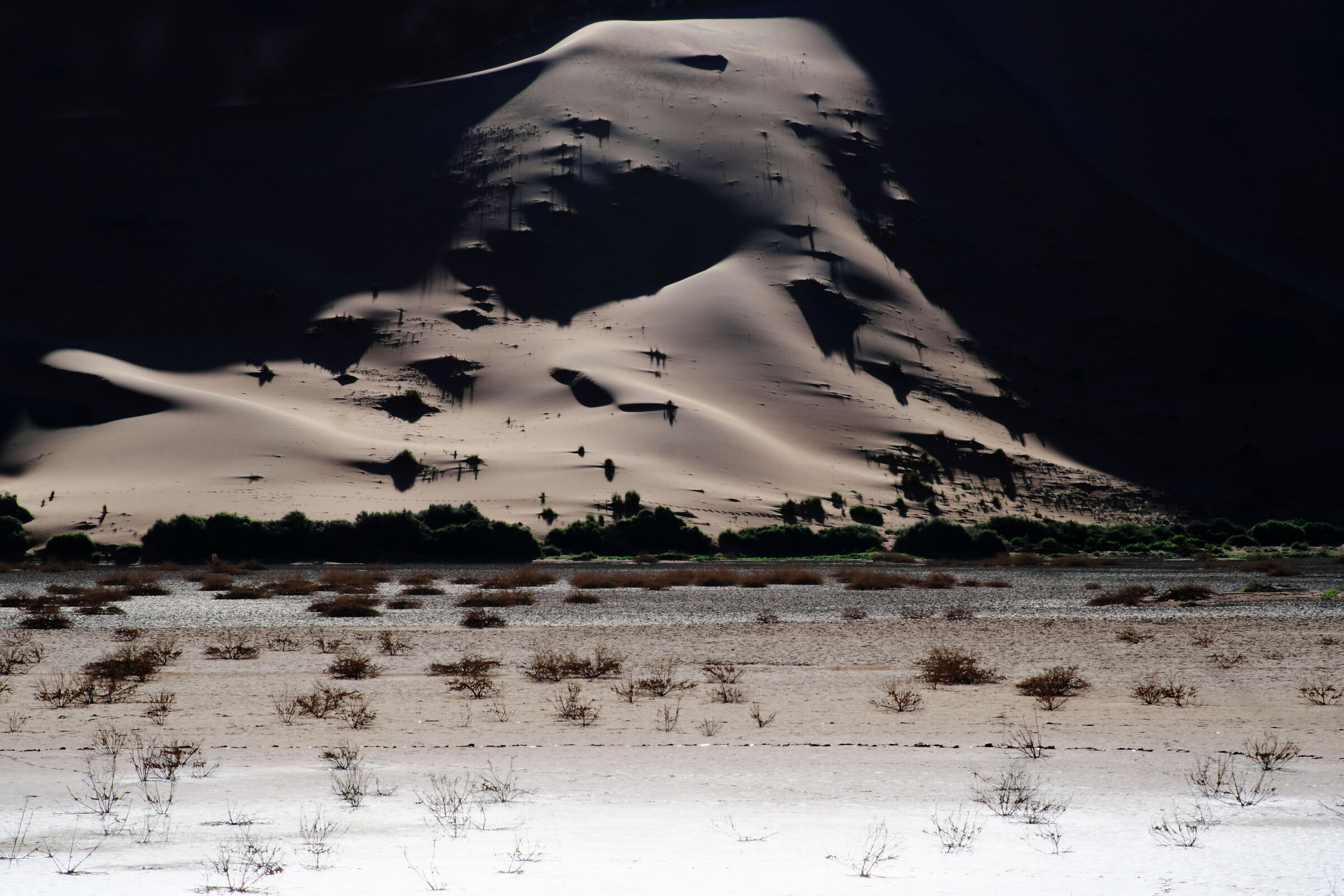 Luci e ombre del Namib