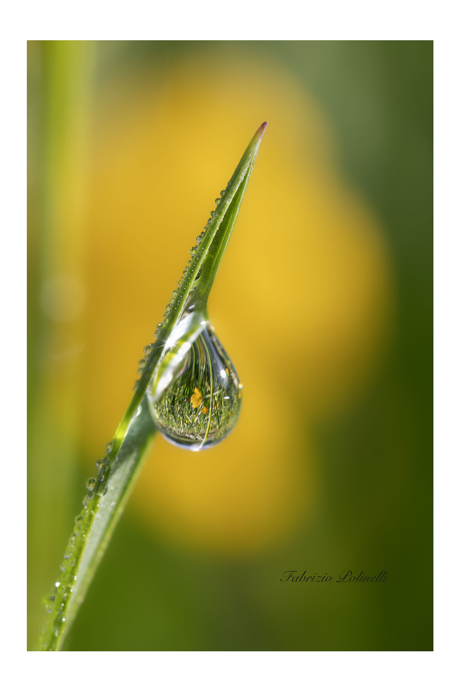 Drop