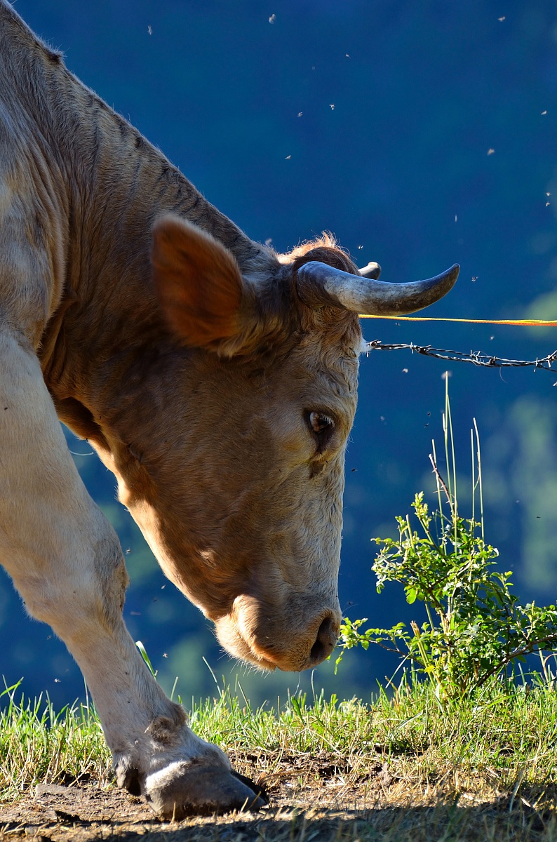 I'm getting angry .....