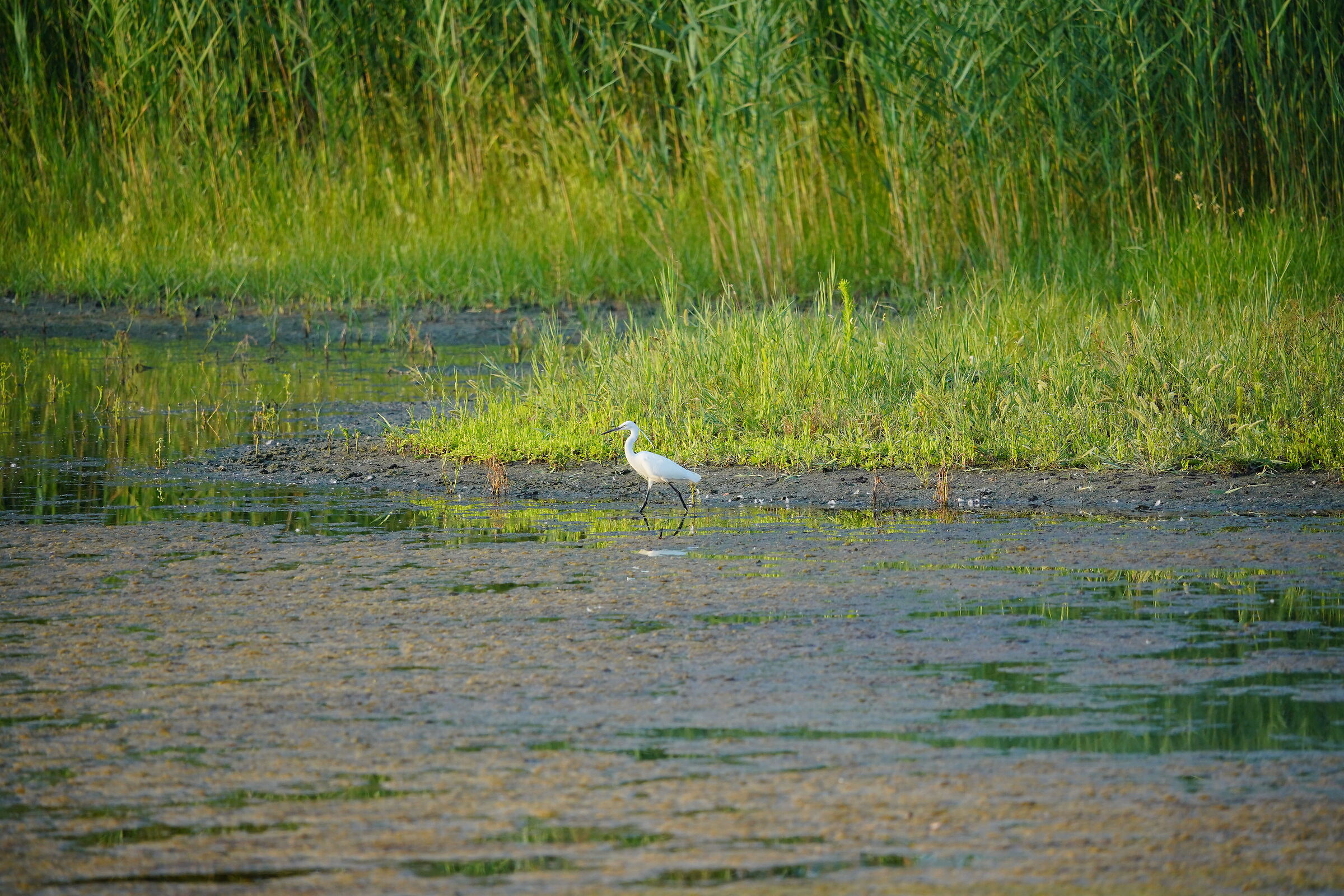 Punta Macerone Natural Oasis
