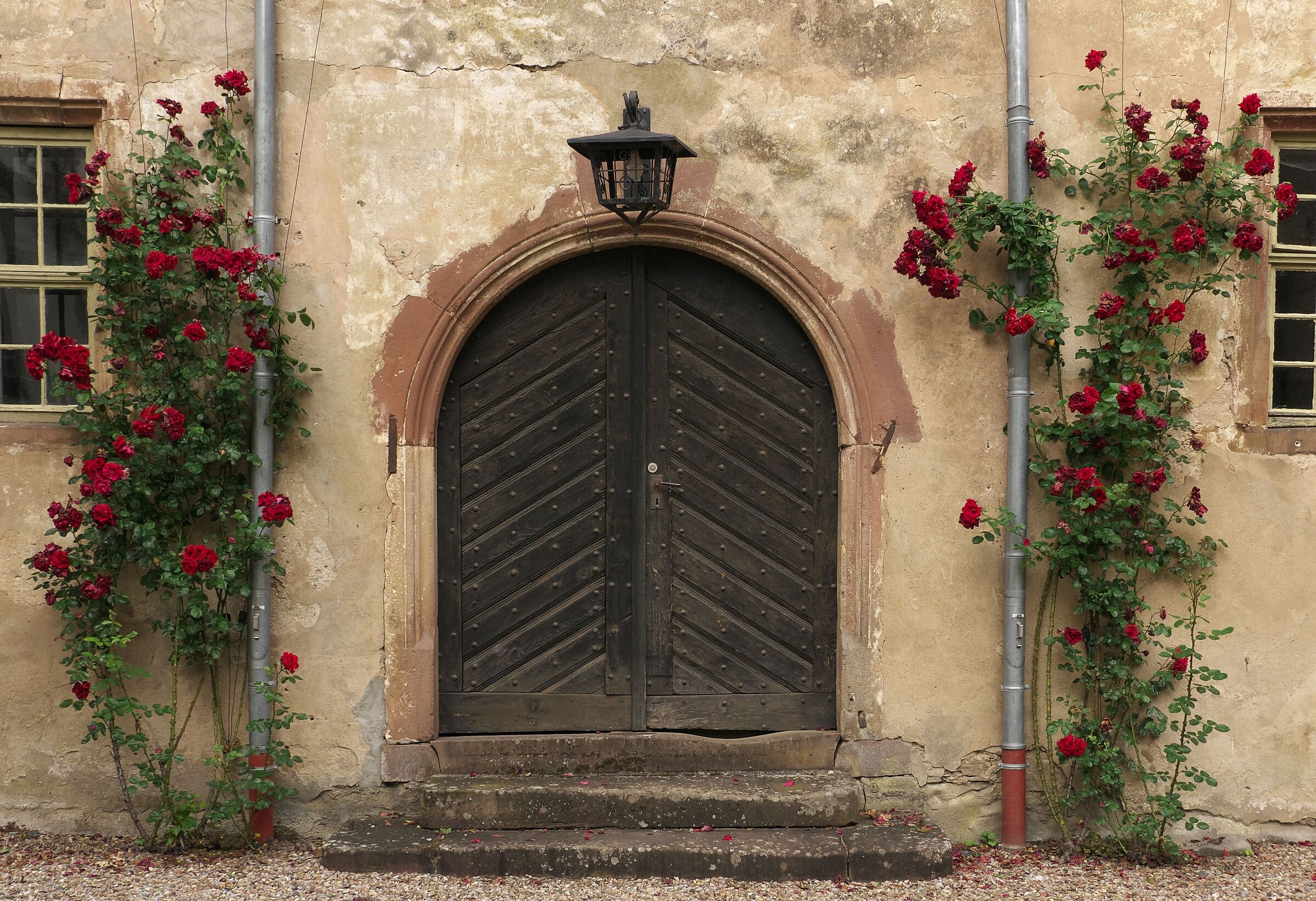 Door with worn out steps
