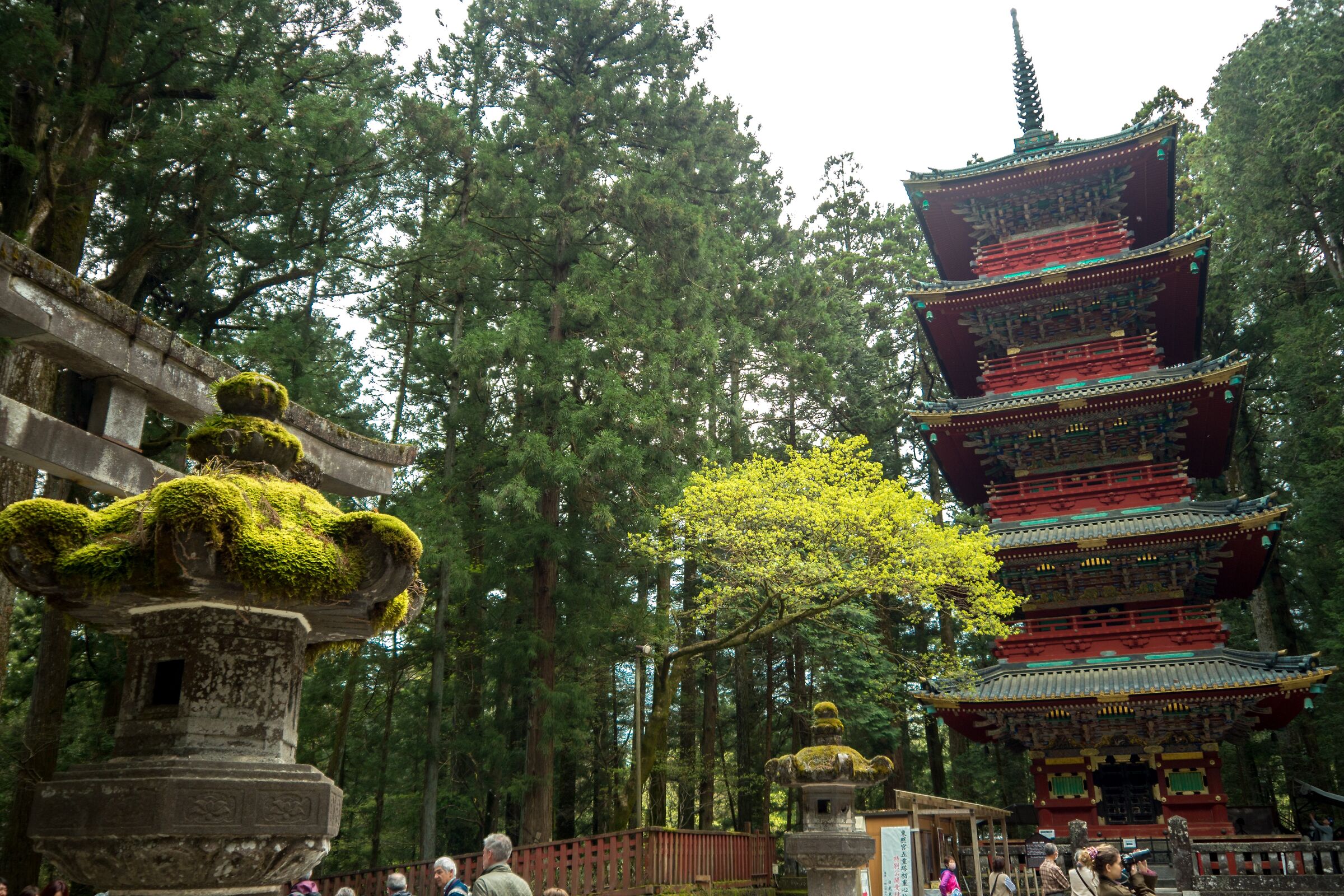 mi serve un grandangolo più largo