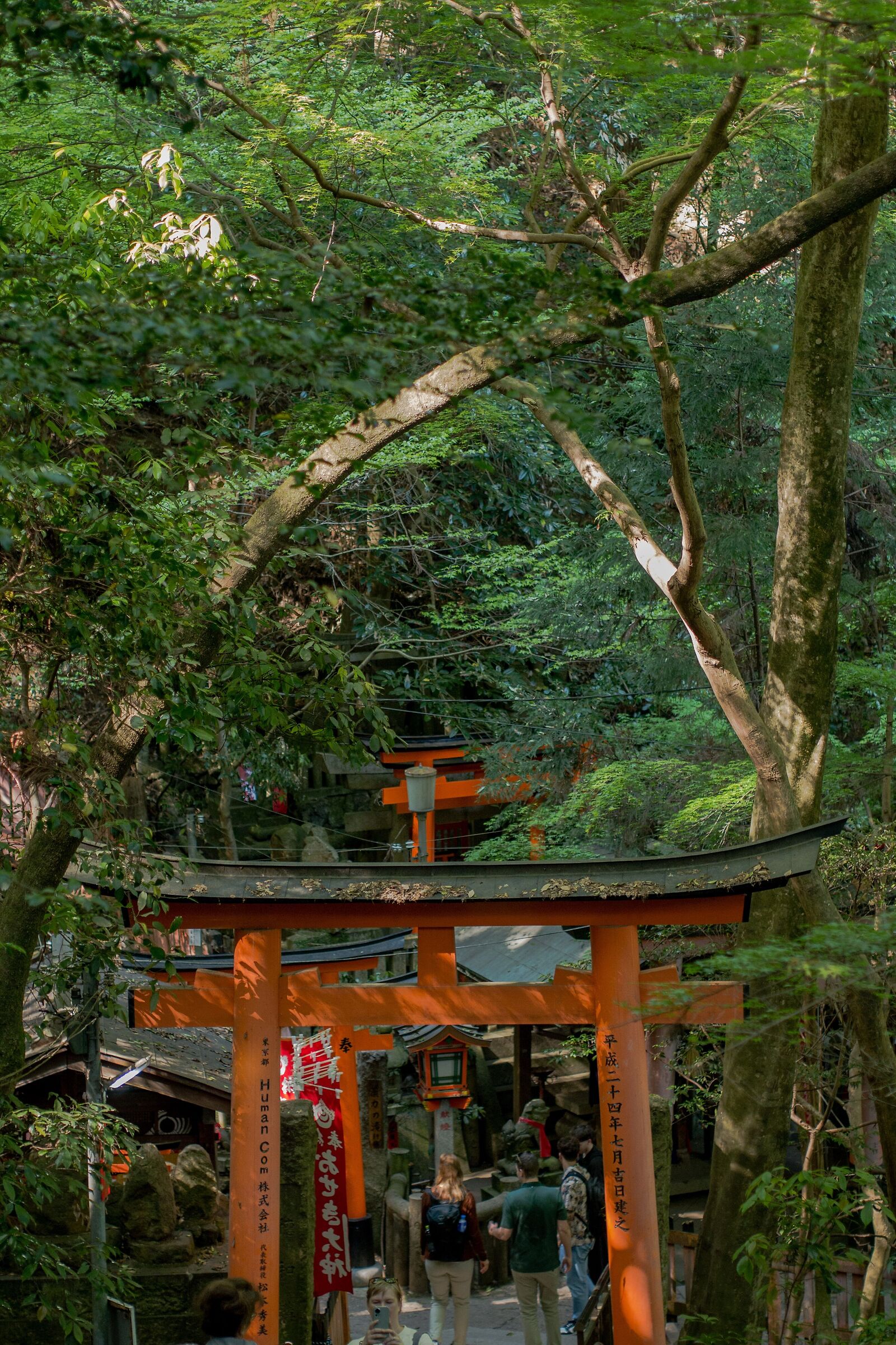 a me ricorda jurassic park