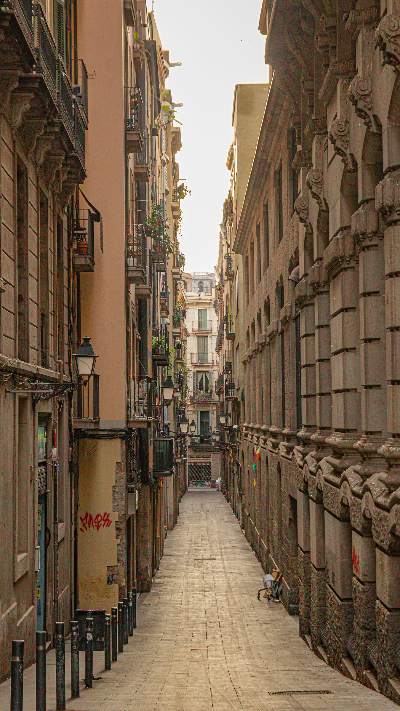 vicoletto