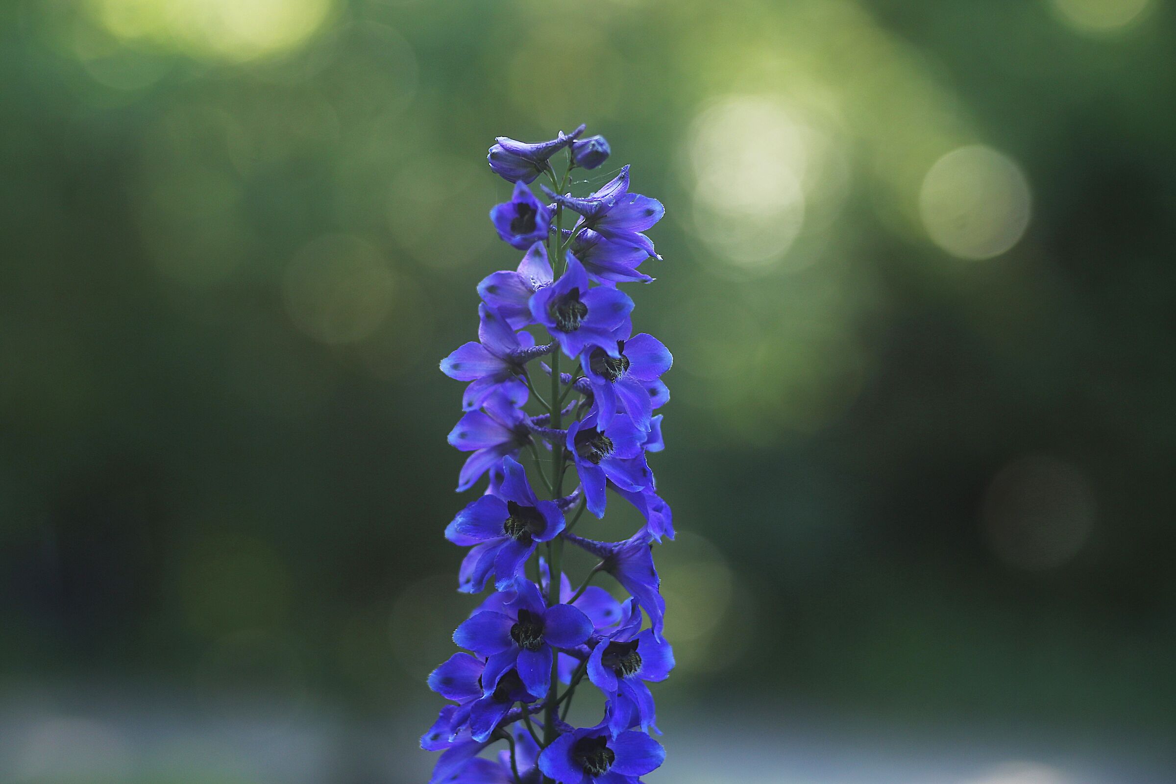 Untitled Photo