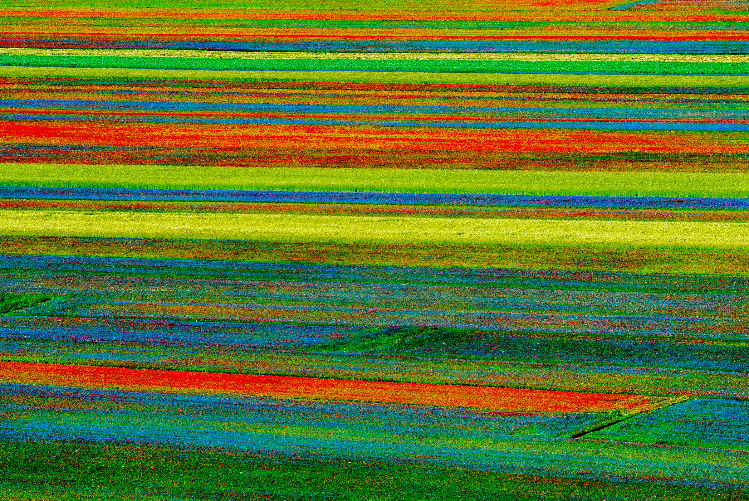 un tappeto di colori.