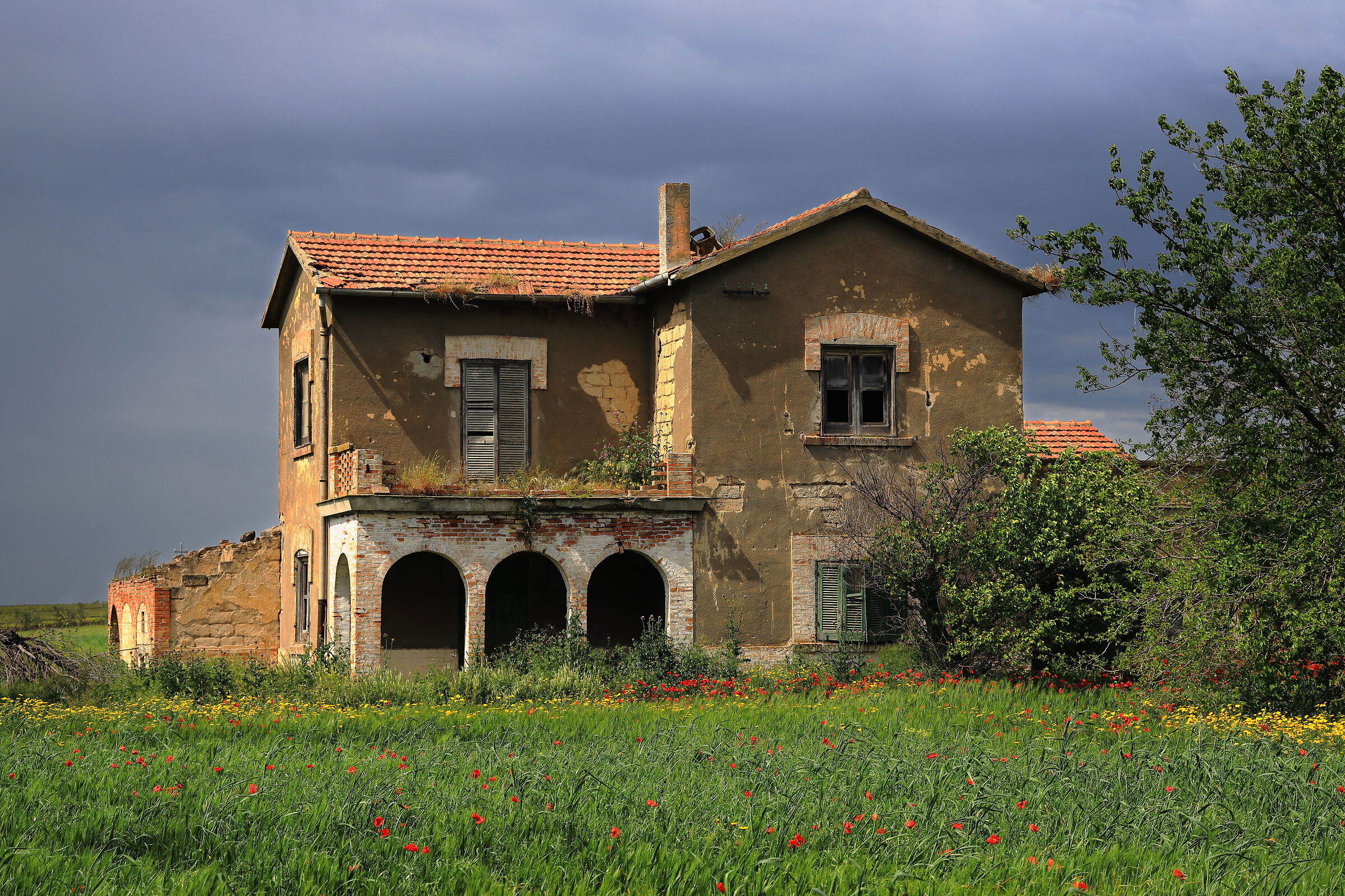 The abandoned farmhouse