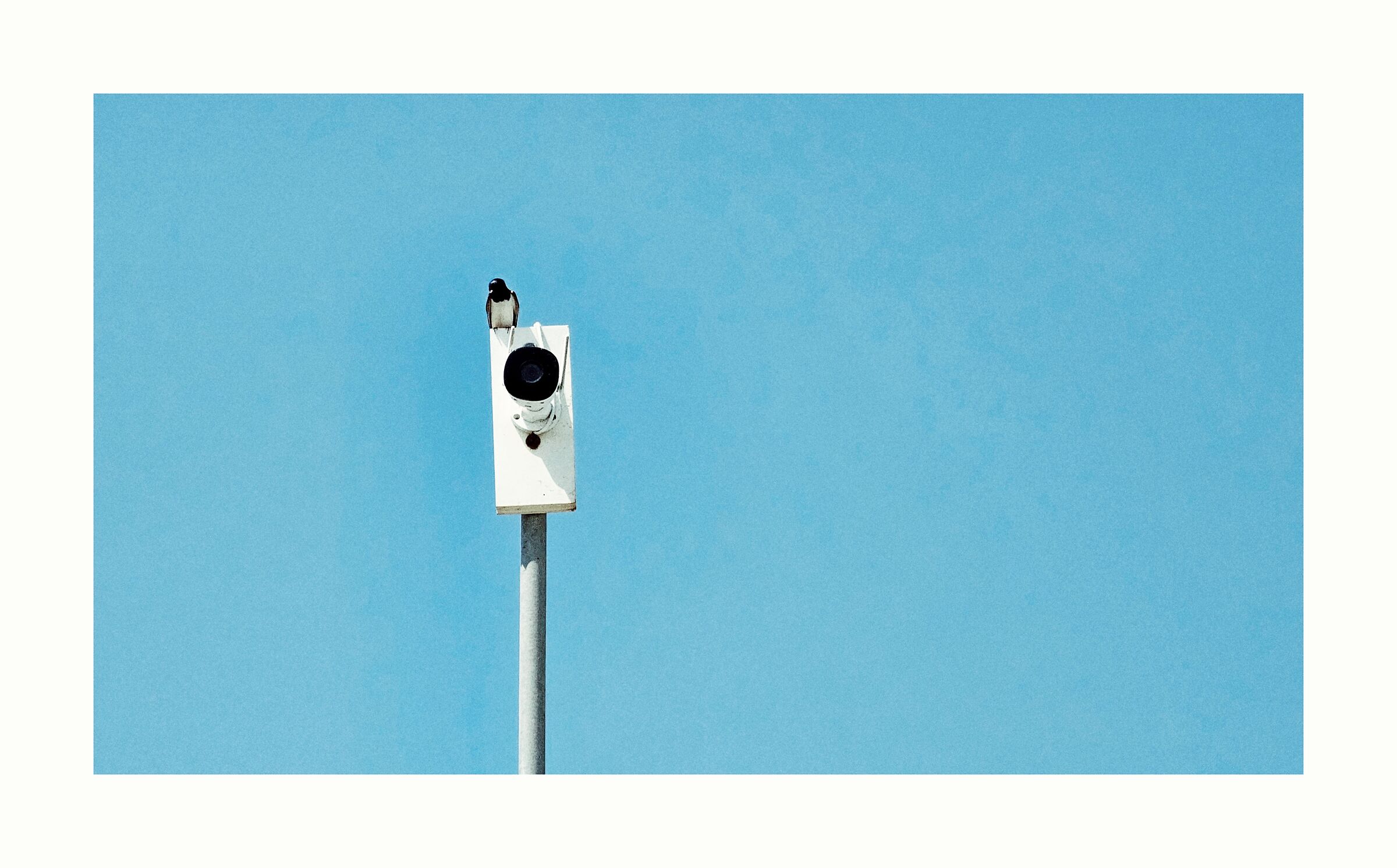 We are lookong for you