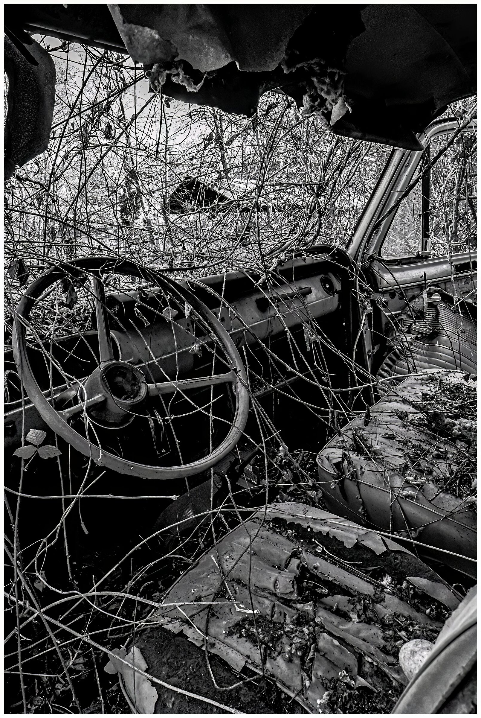 Abandoned vehicles (2)