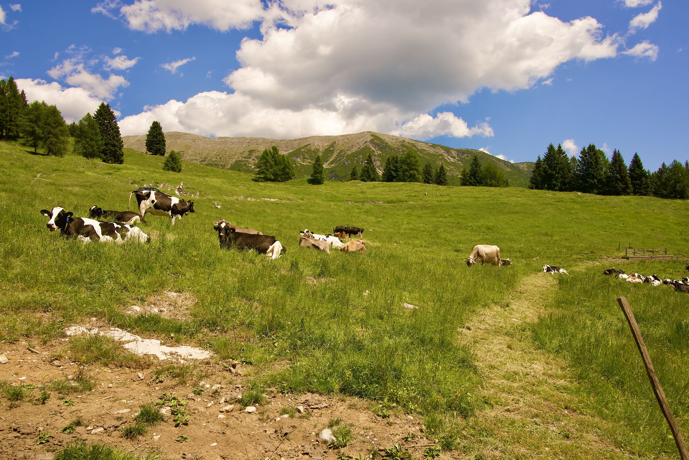 Val Formica-Cima portule