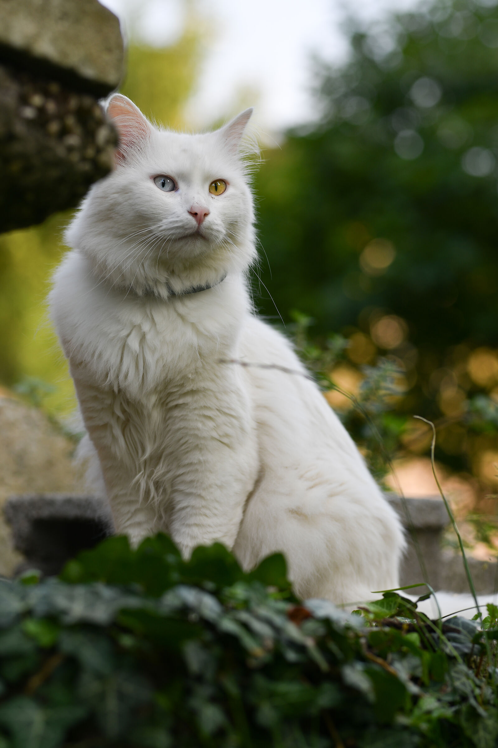 I'm looking for something to eat