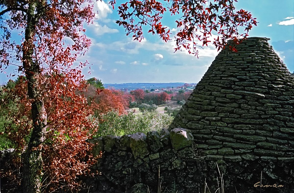 Pastello d'Itria - 1989