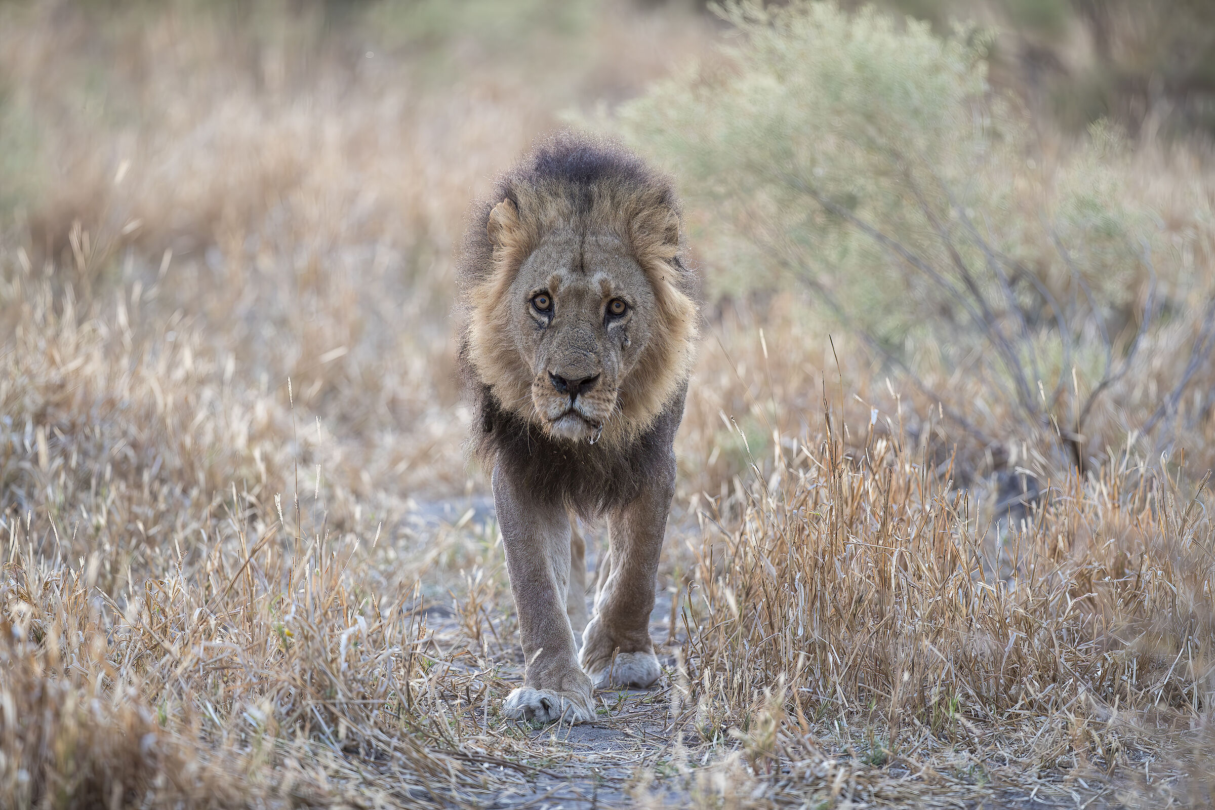 Botswana luglio 2022