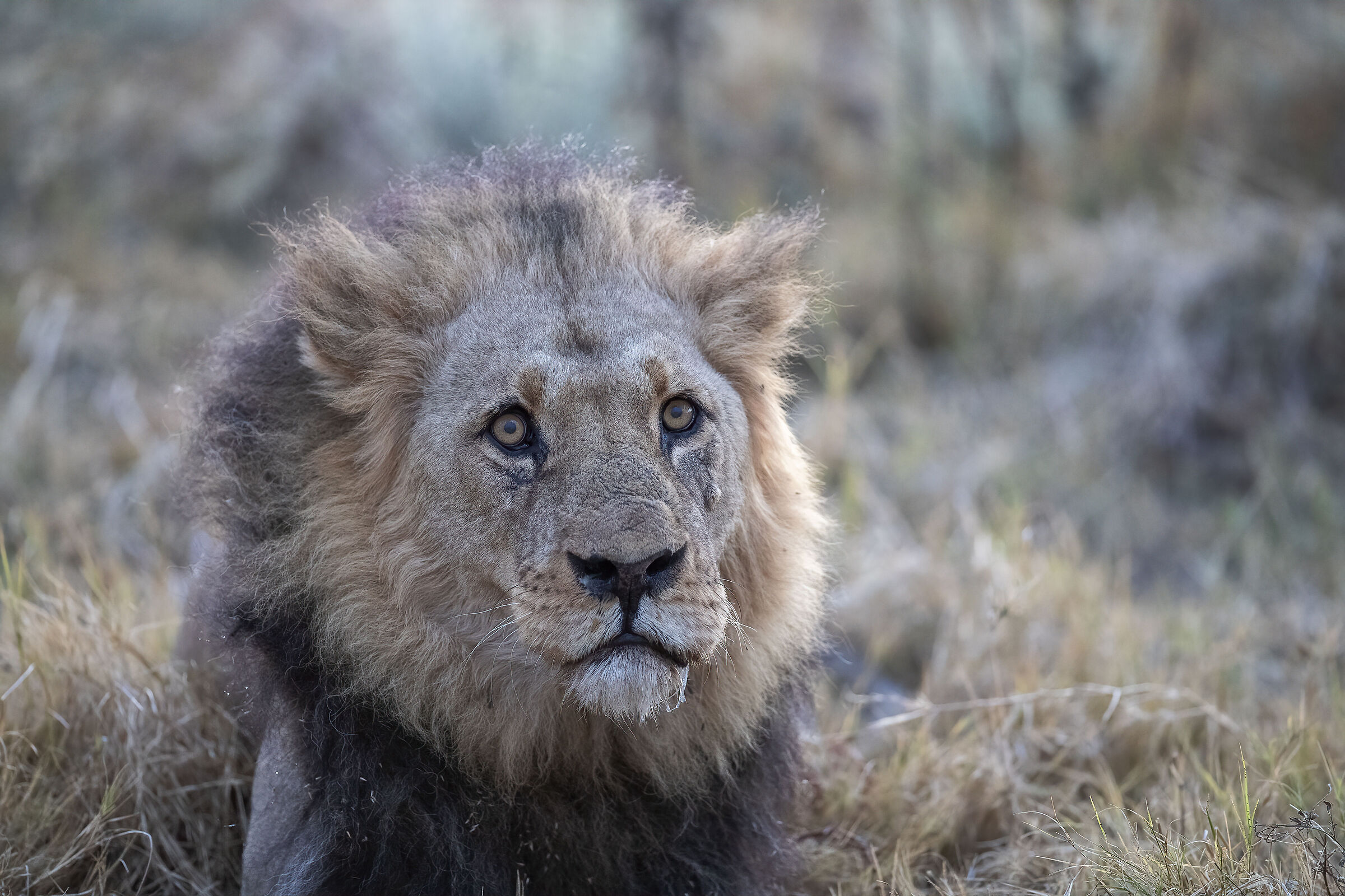 Botswana luglio 2022