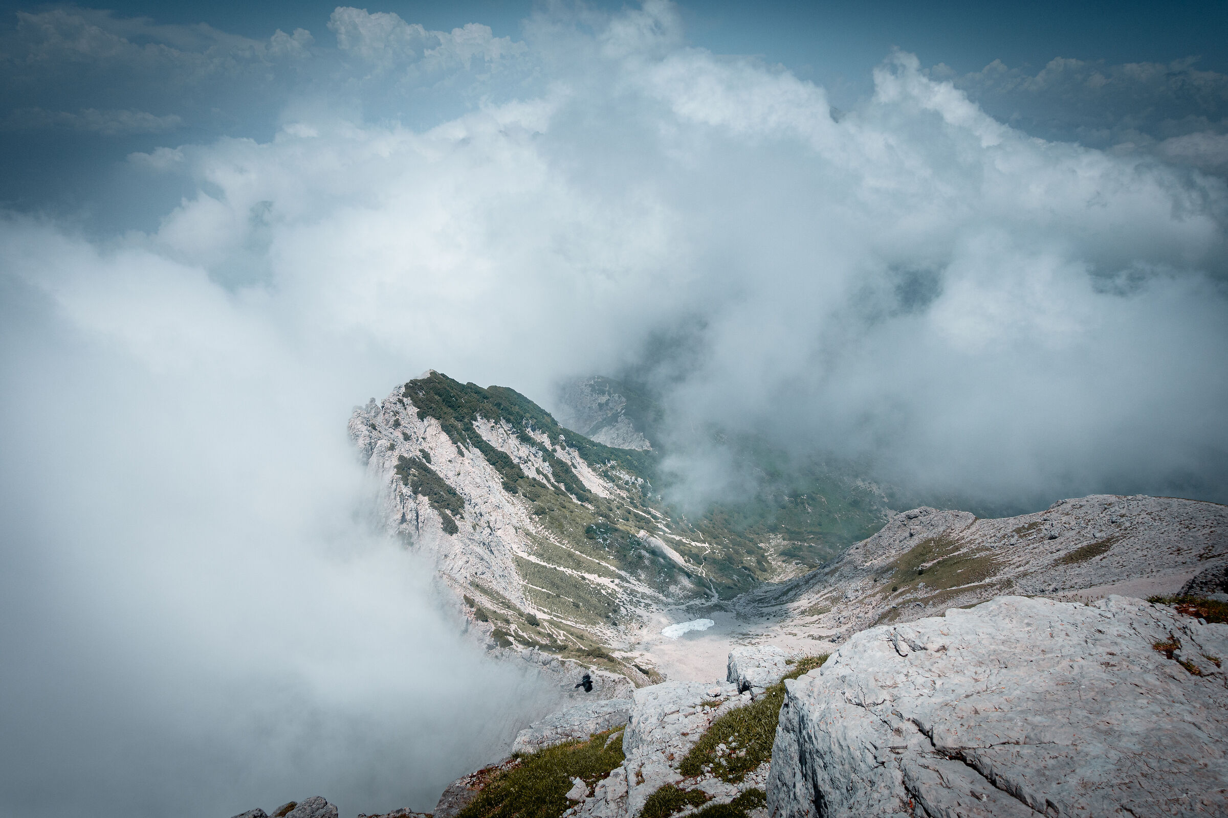 Dall'alto