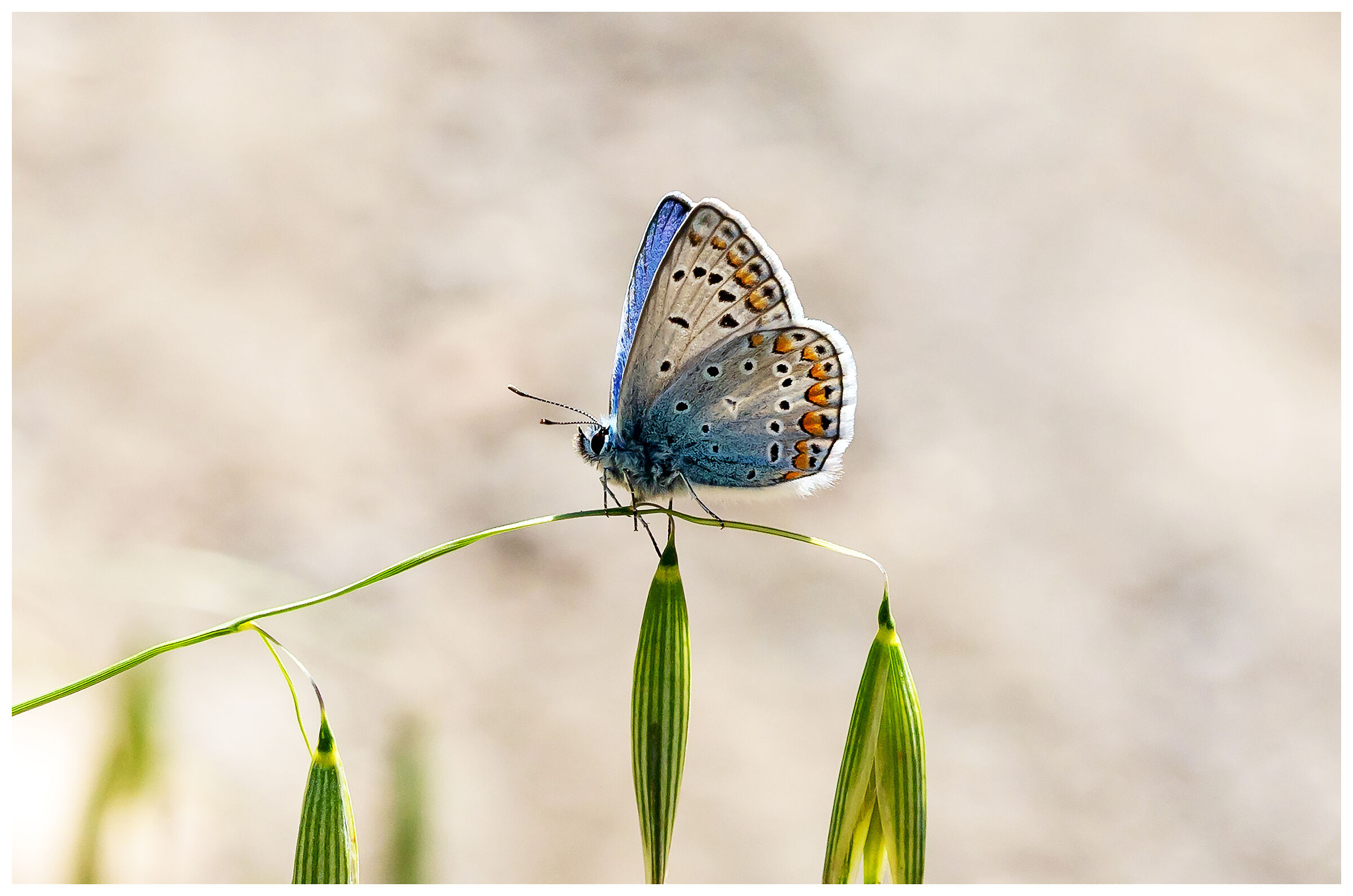 The world of children...