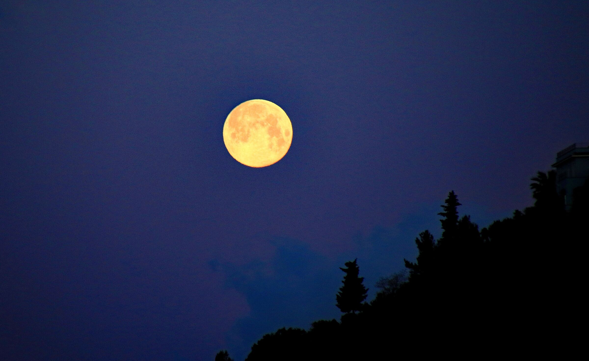 Liguria: Notturno con luna