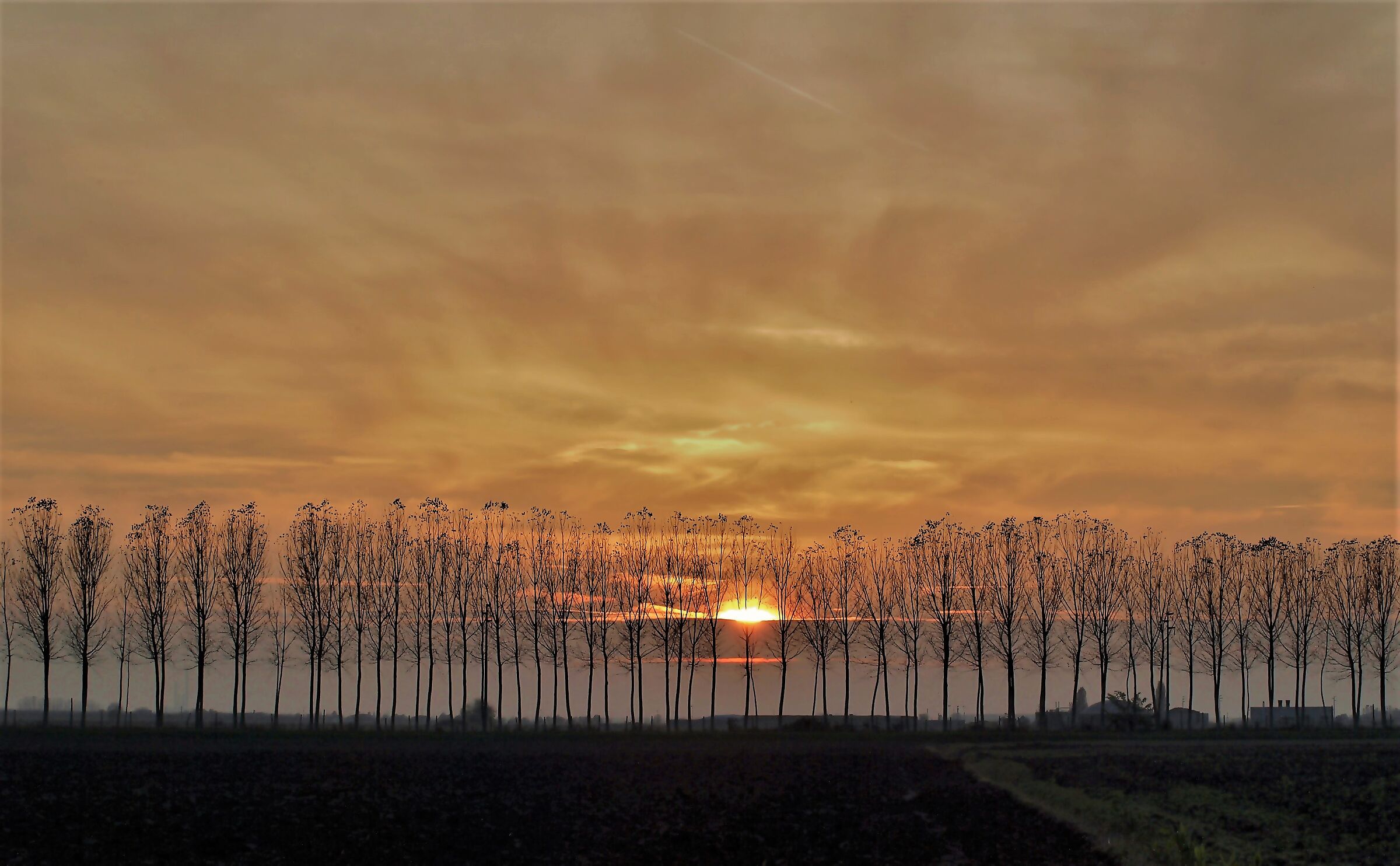 Veronese countryside