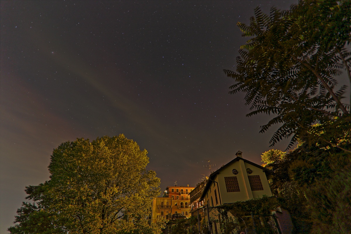 End of the Trail Oliva