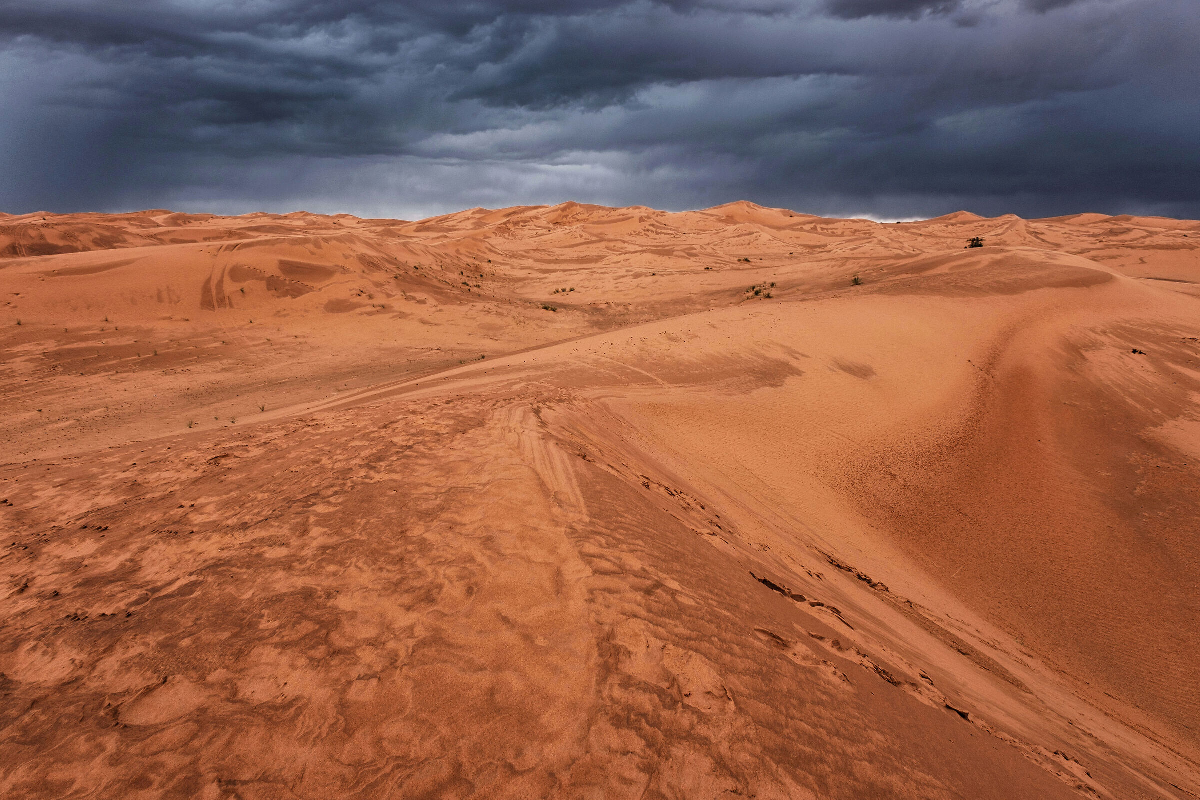 Wet dunes under stormy skies/2