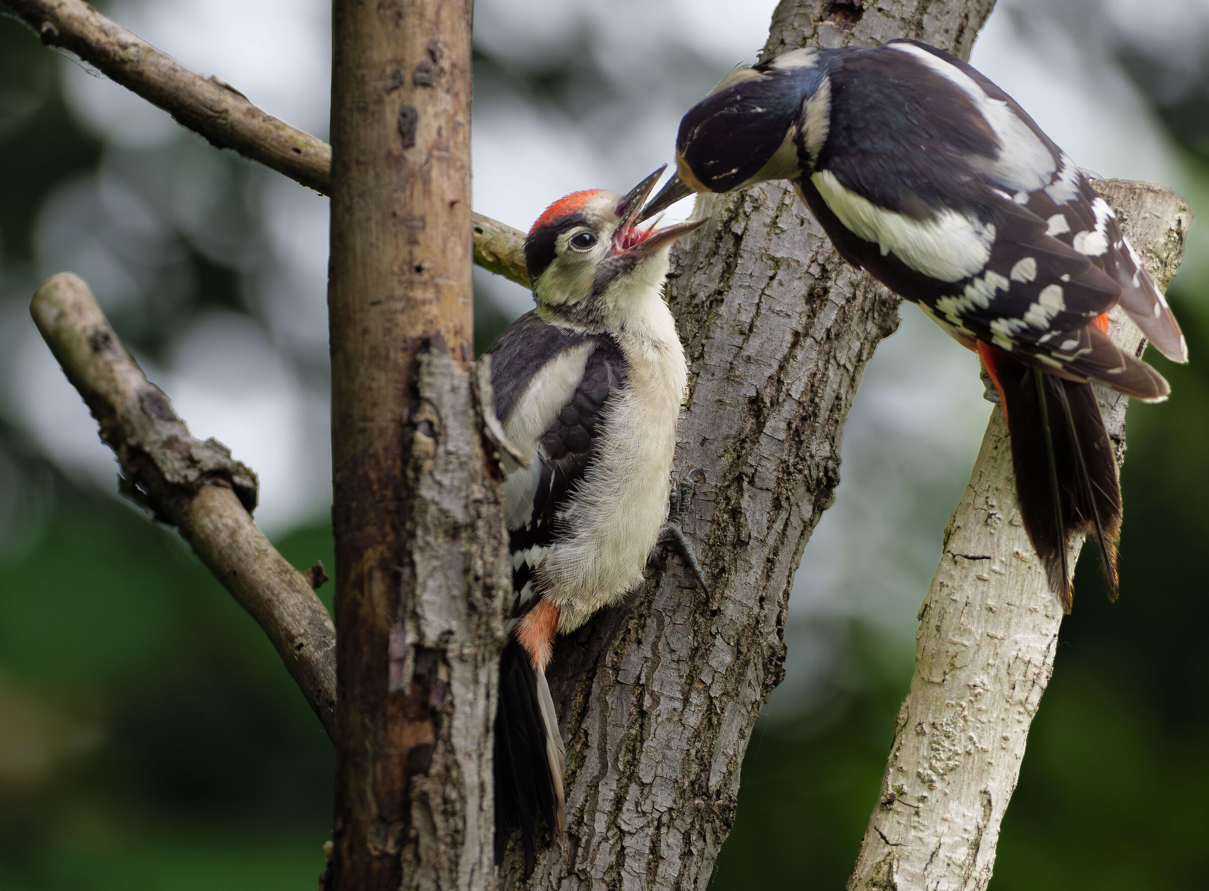 Prime uscite con mamma.