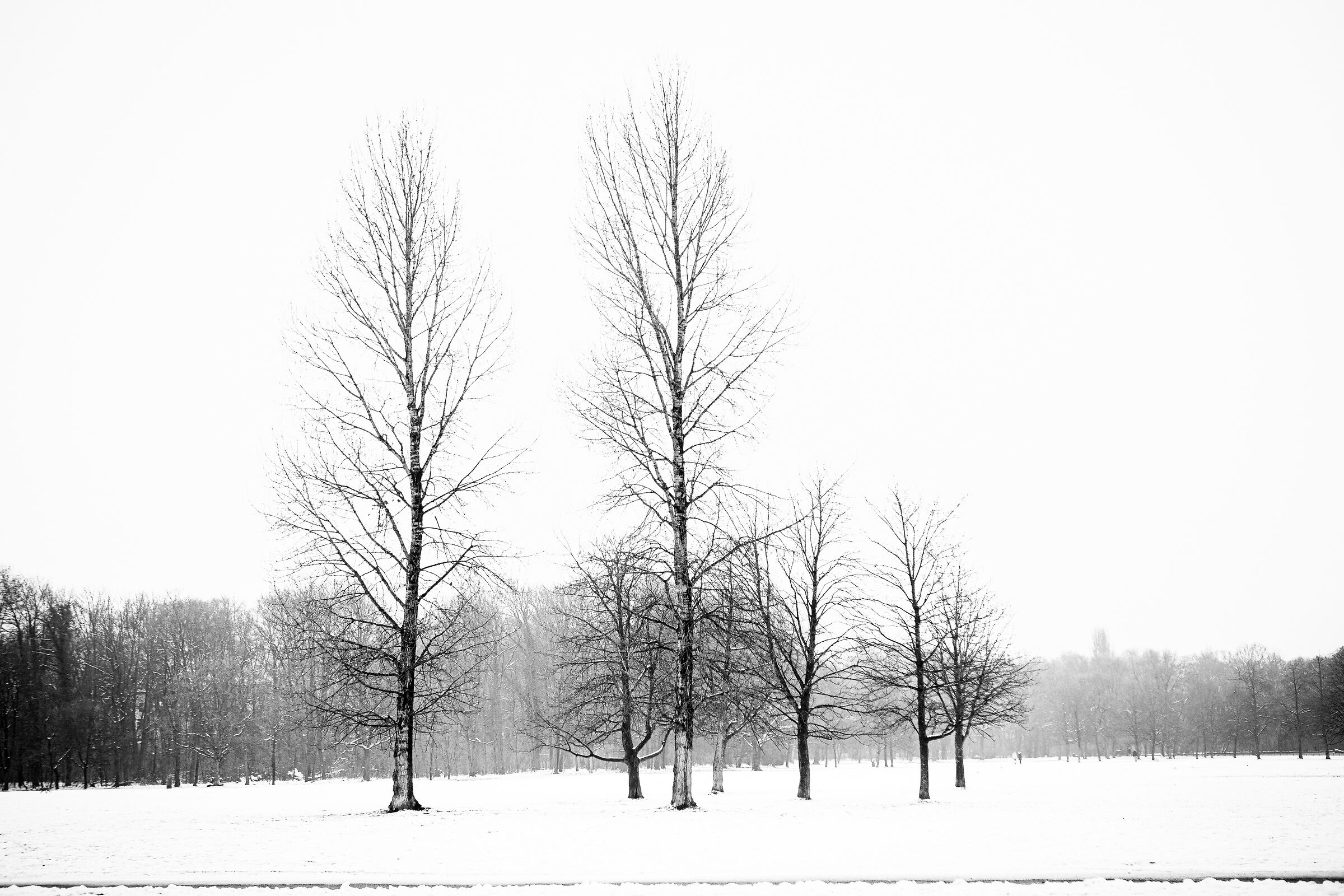 Inverno al parco( Monaco di Baviera)