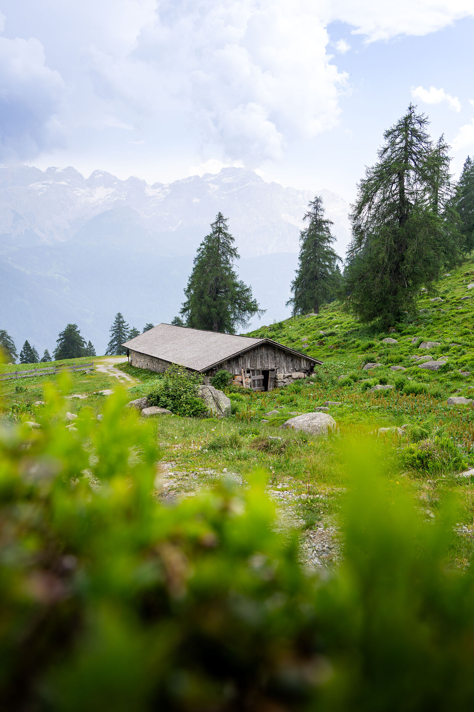 Malga Campo (San Giuliano Lakes)