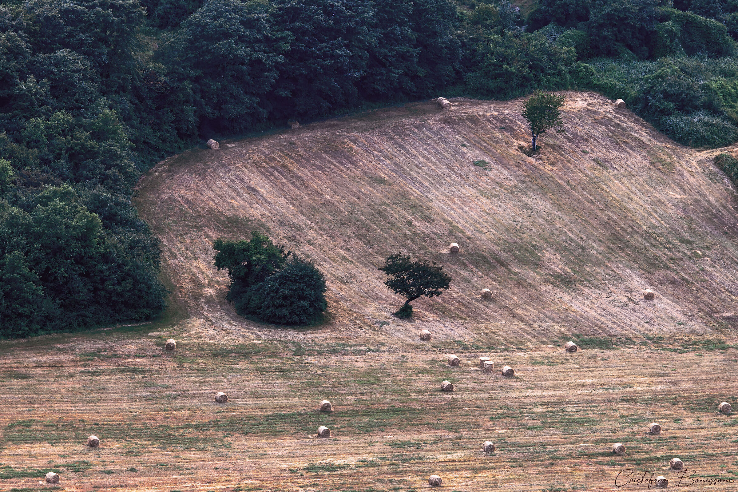 Fienagione - Trova la via d'uscita