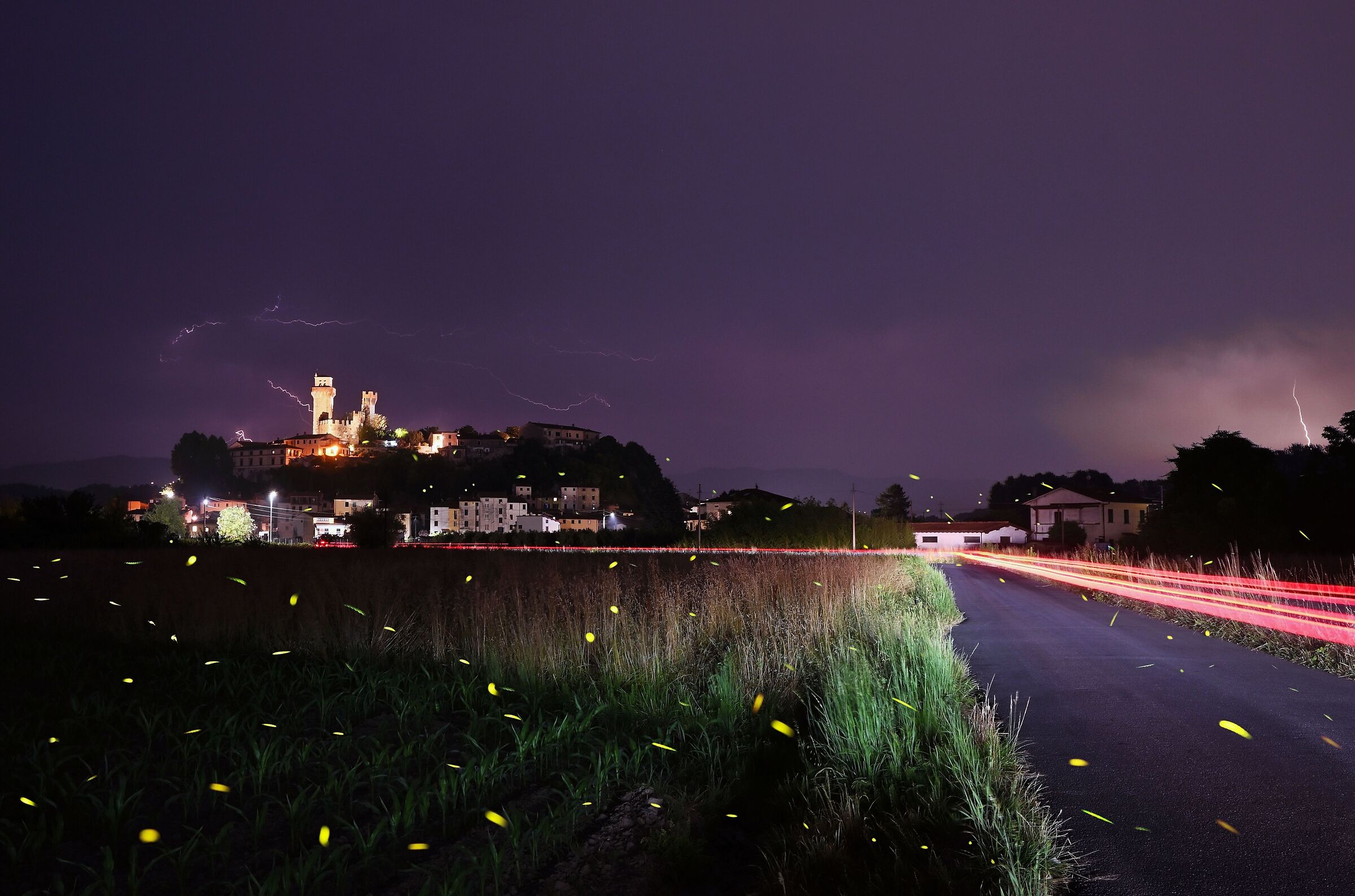 Summer Night