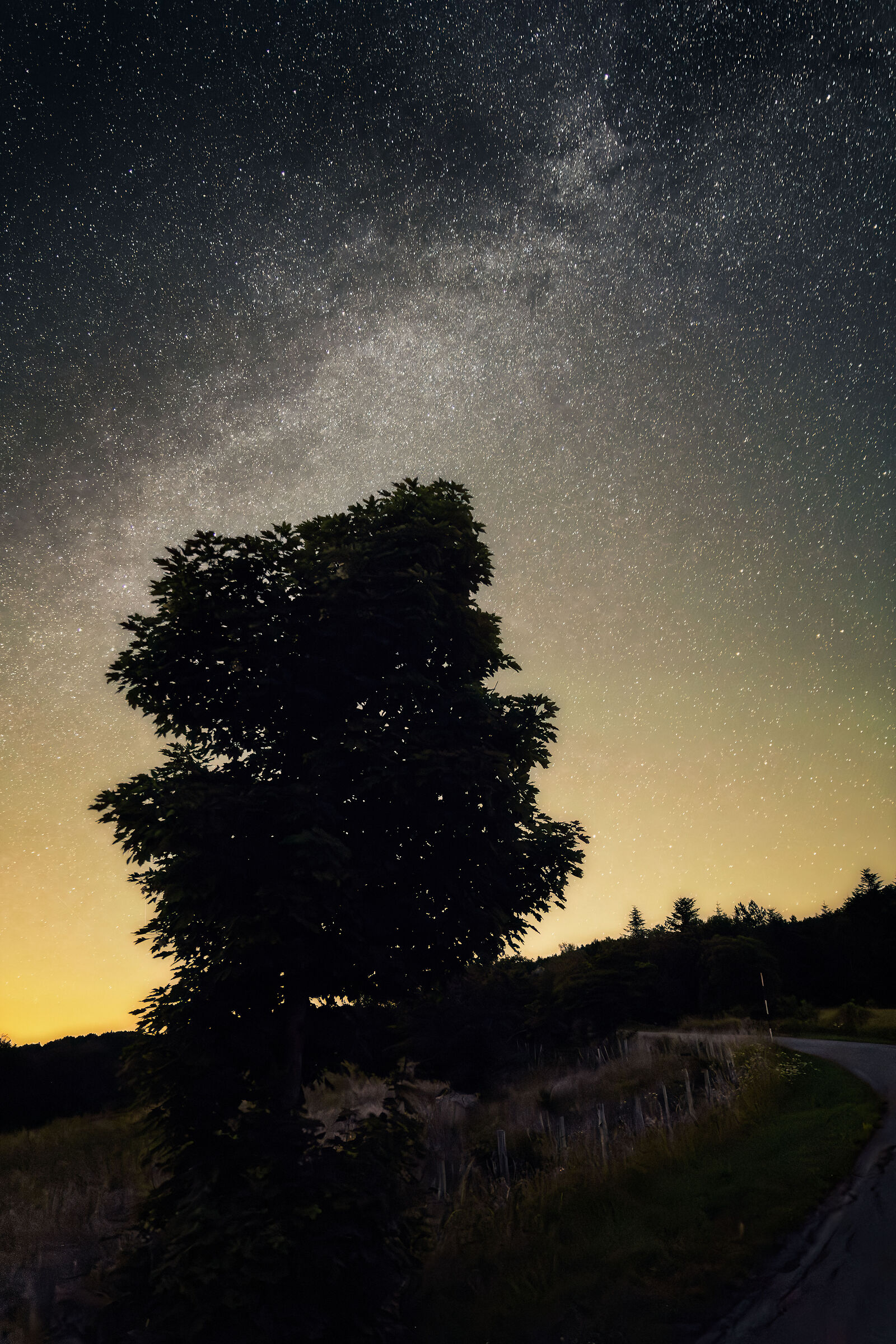 Via Lattea - Appennino Tosco Romagnolo