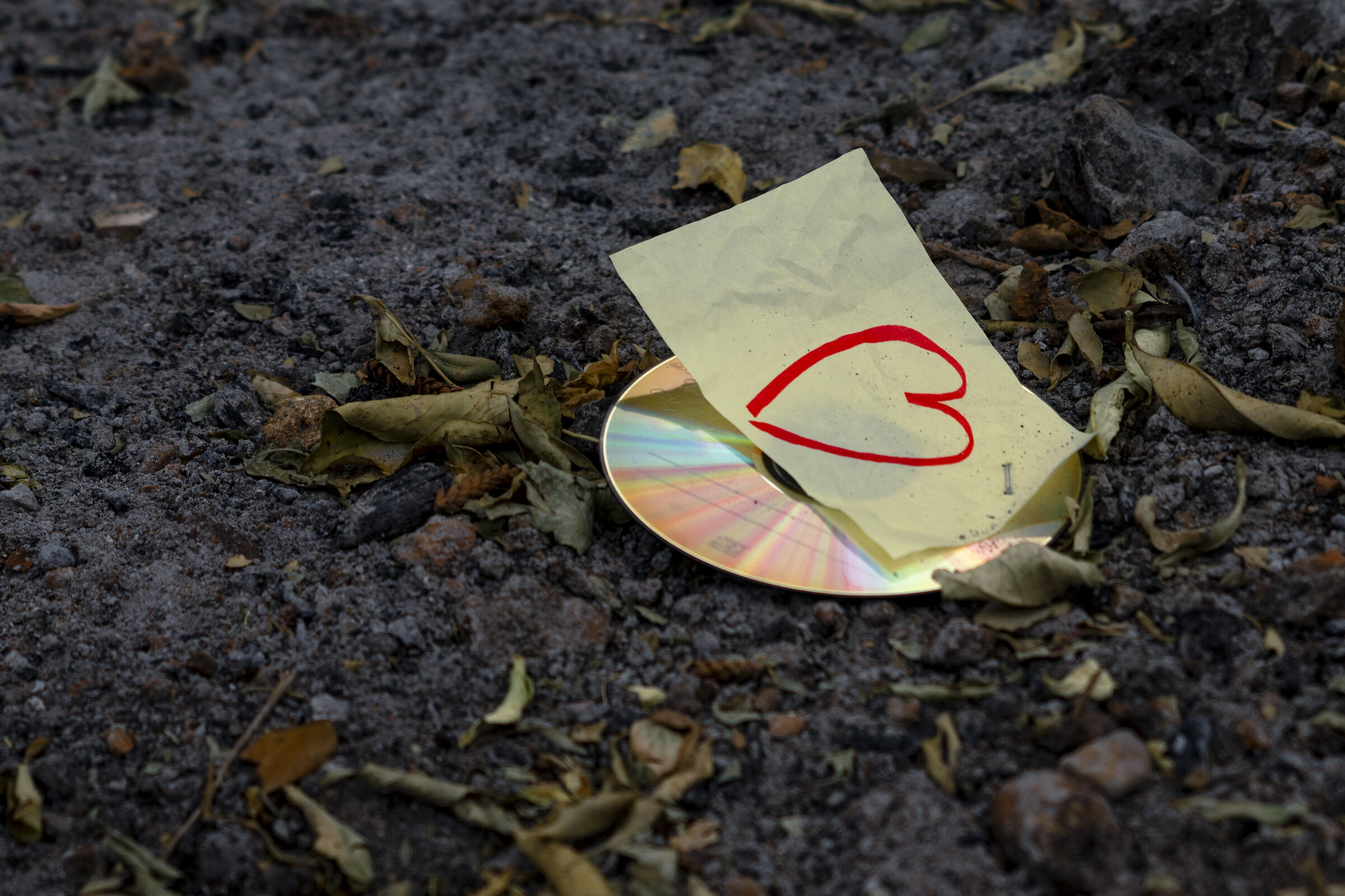 Tra Analogico e Digitale