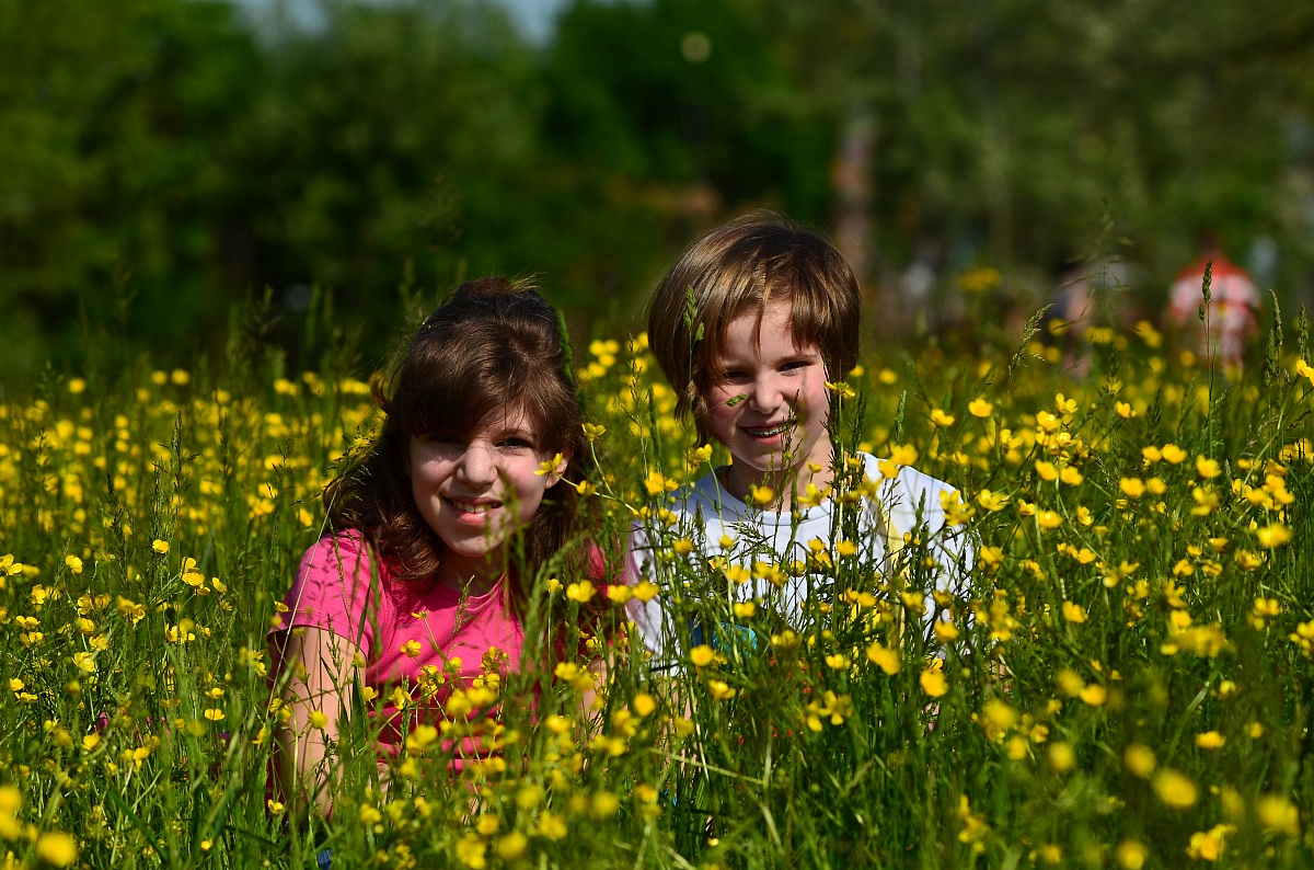 My most beautiful flowers