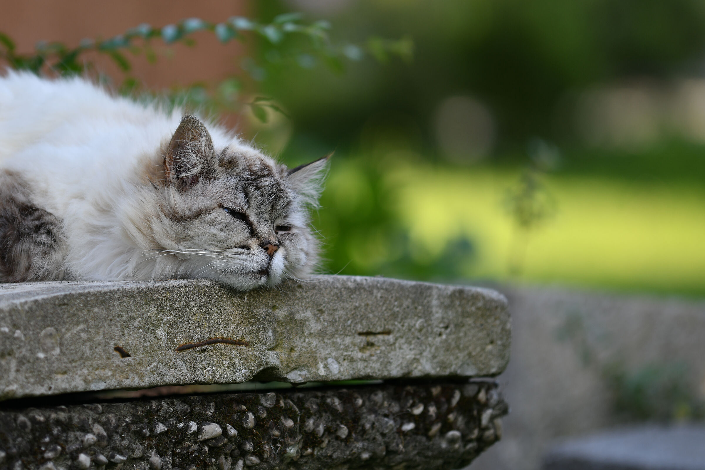 The nineteen-year-old sleeper