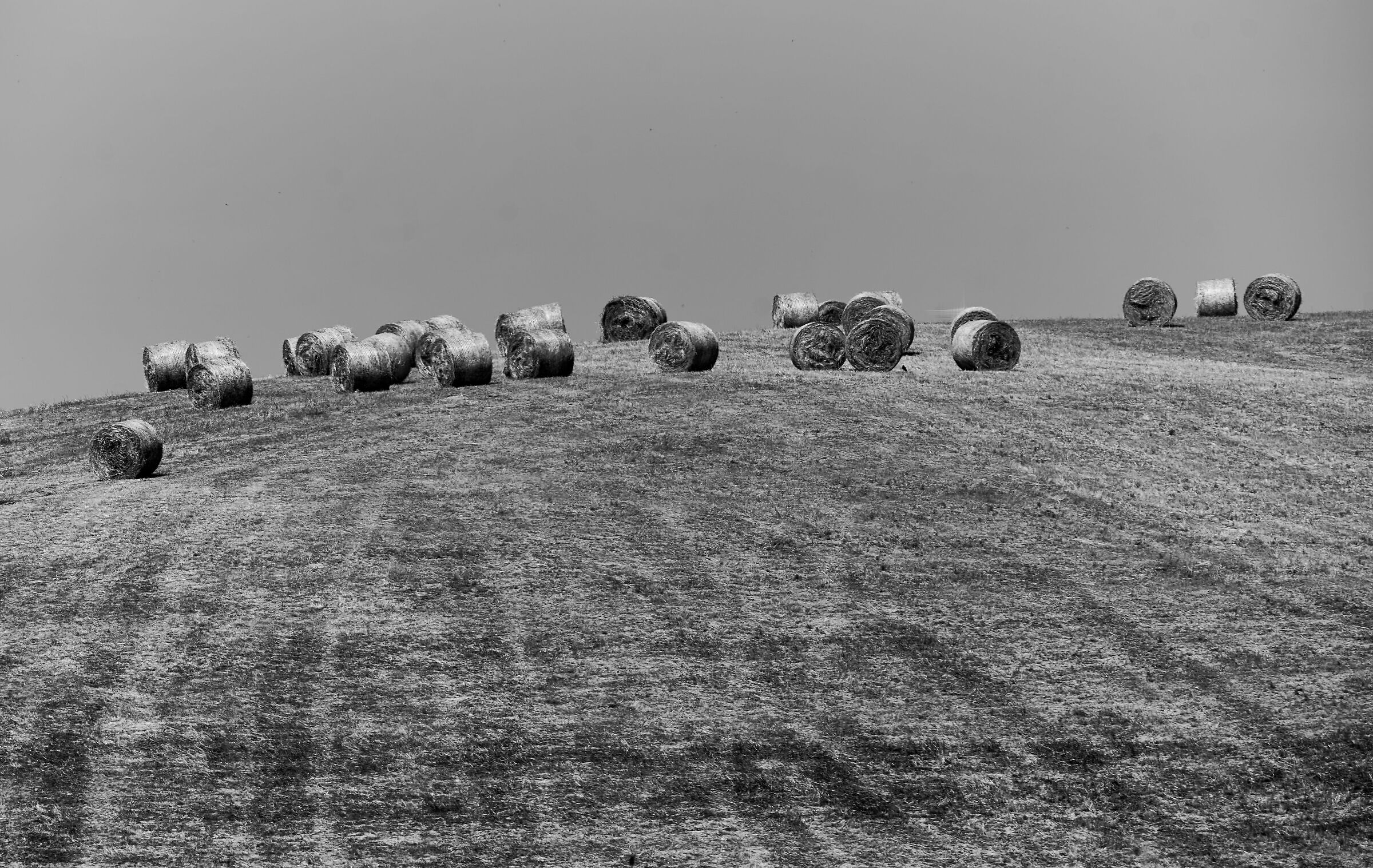 Haymaking 3