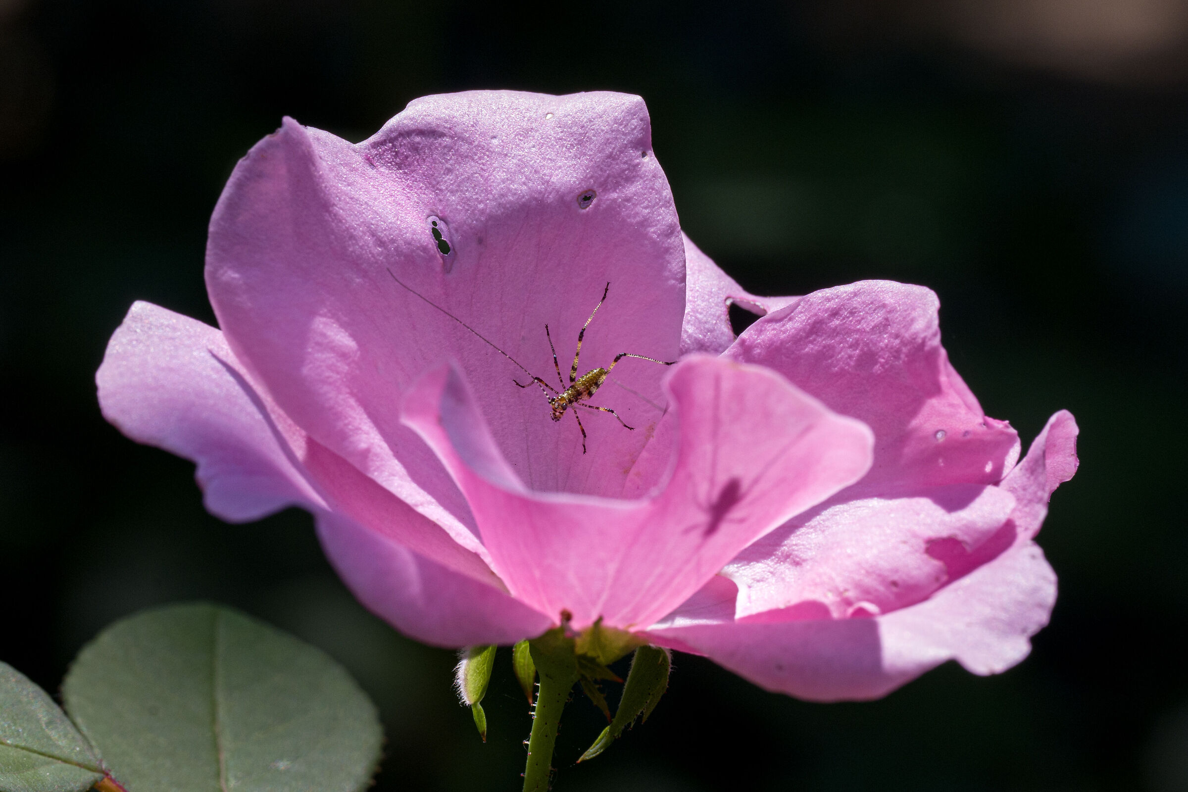 Untitled Photo