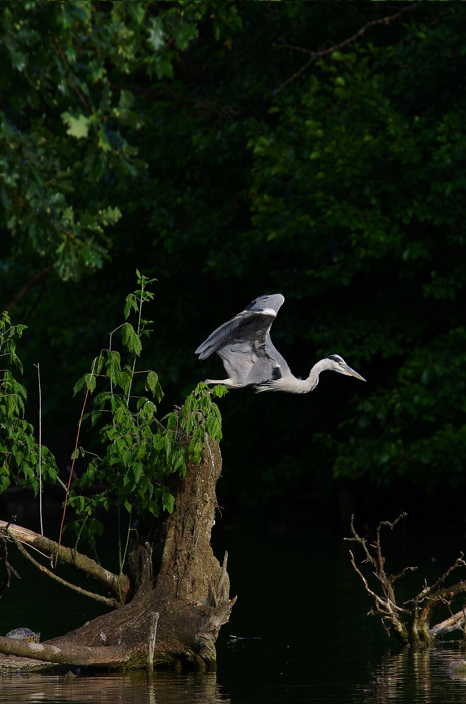 The sun kisses the beautiful....