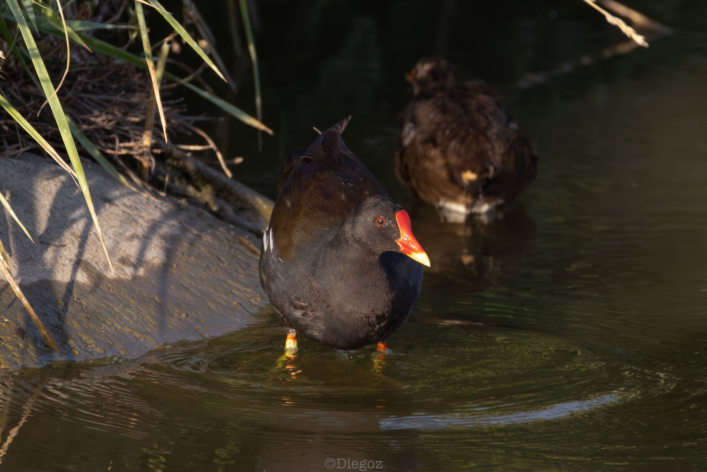 Untitled Photo