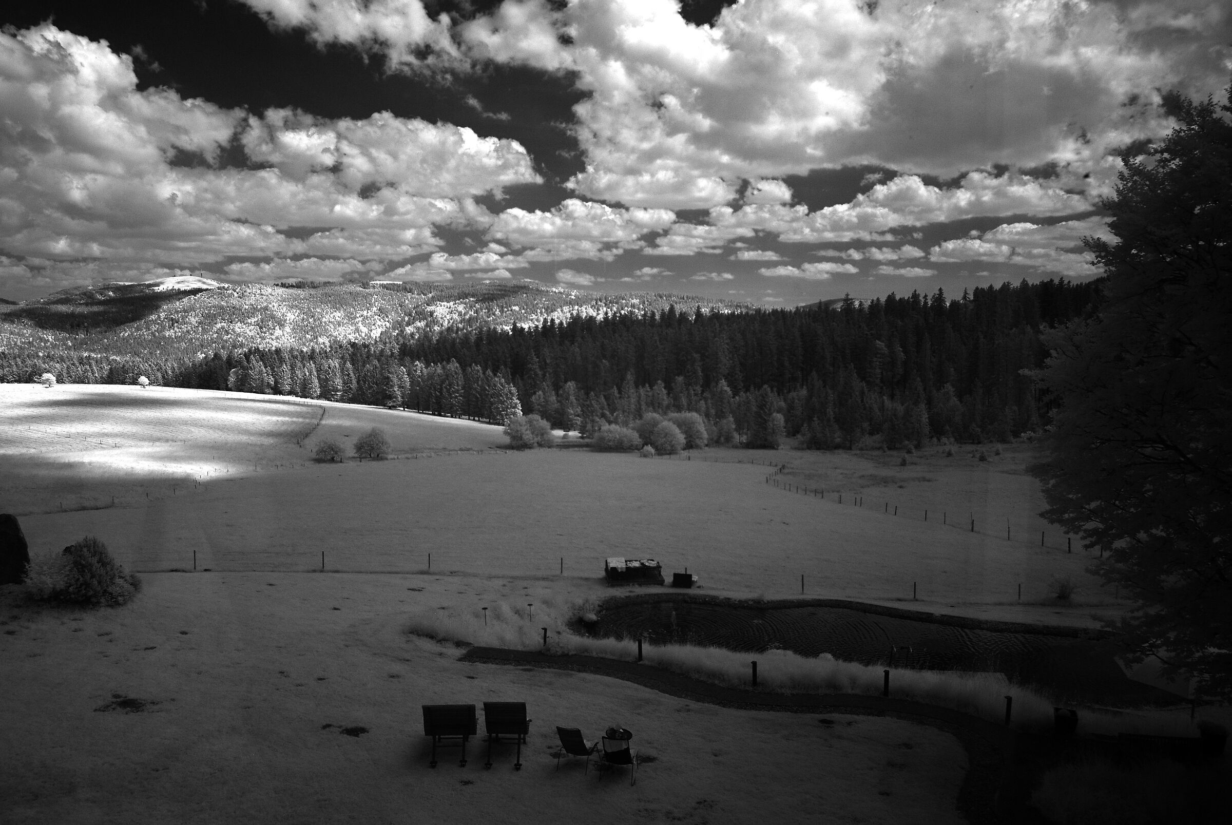 View from Schauinsland