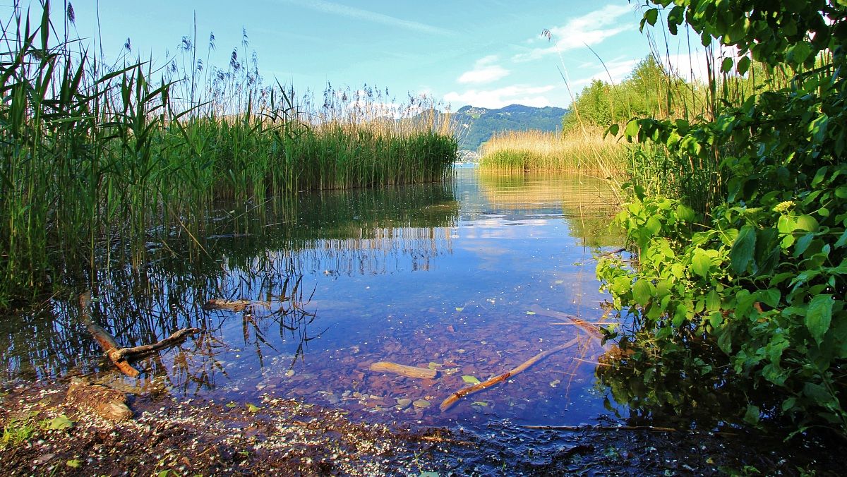 Lago di Thun a Gwatt