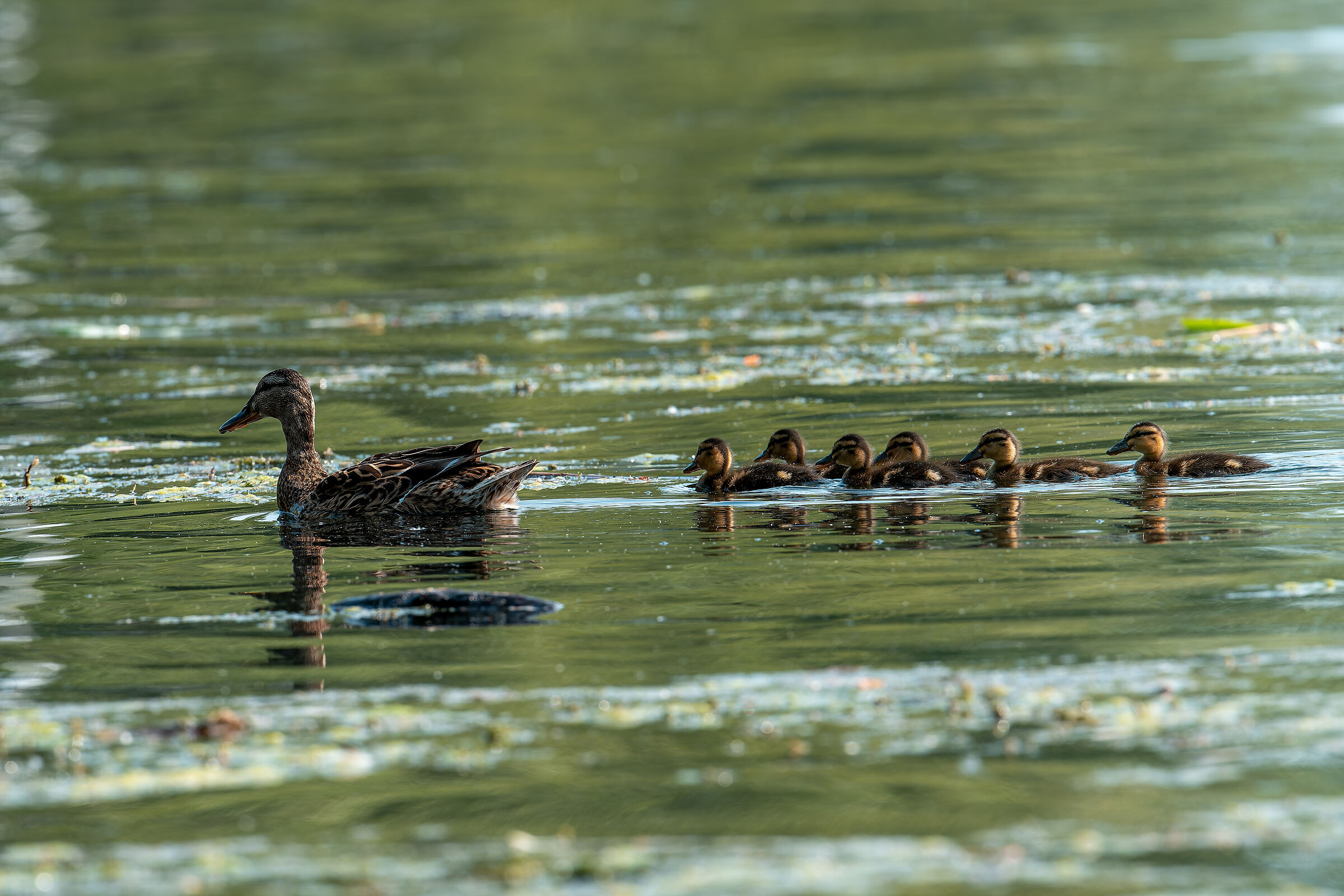 All together with mom
