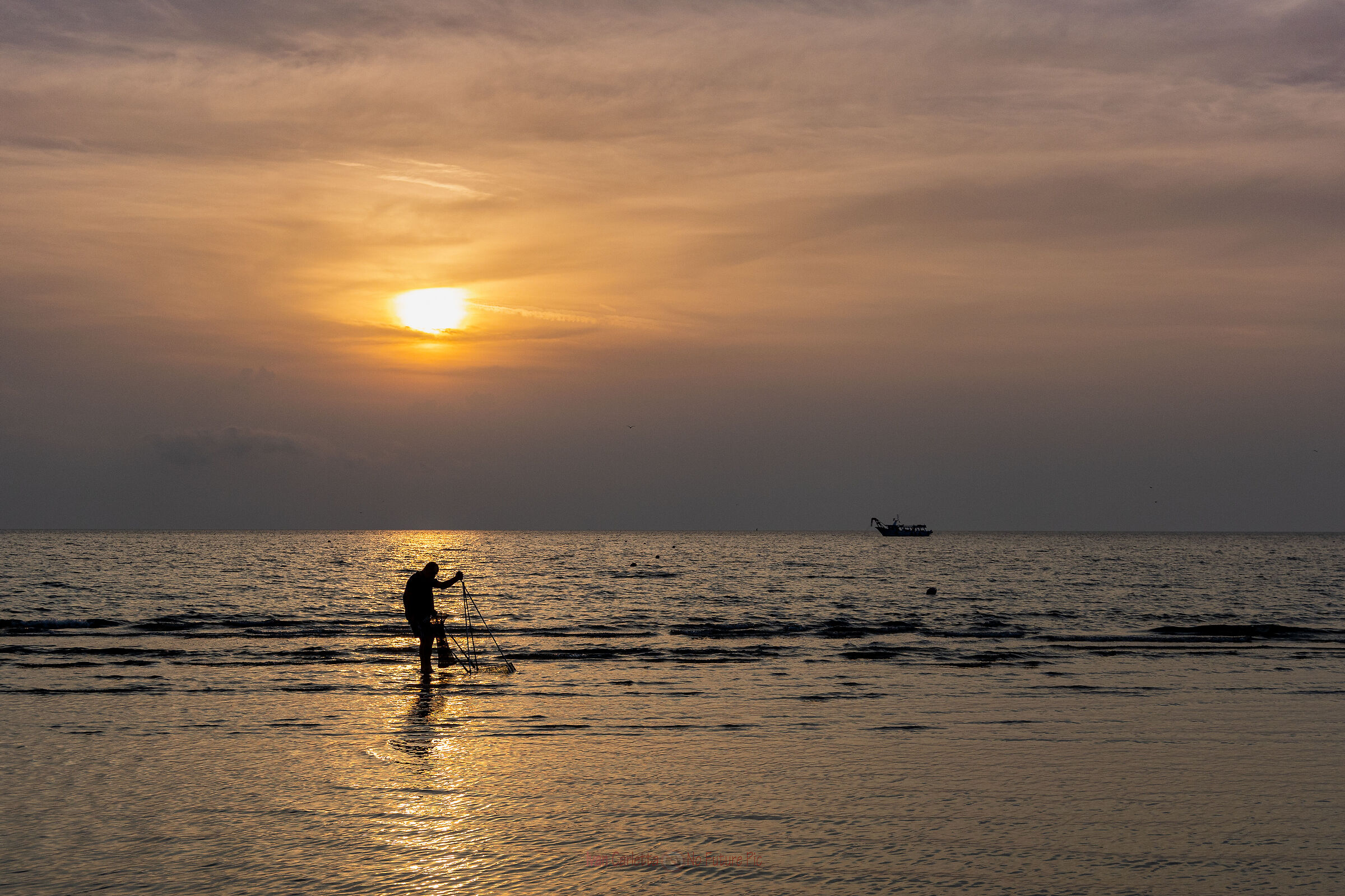 pescatore di telline #2