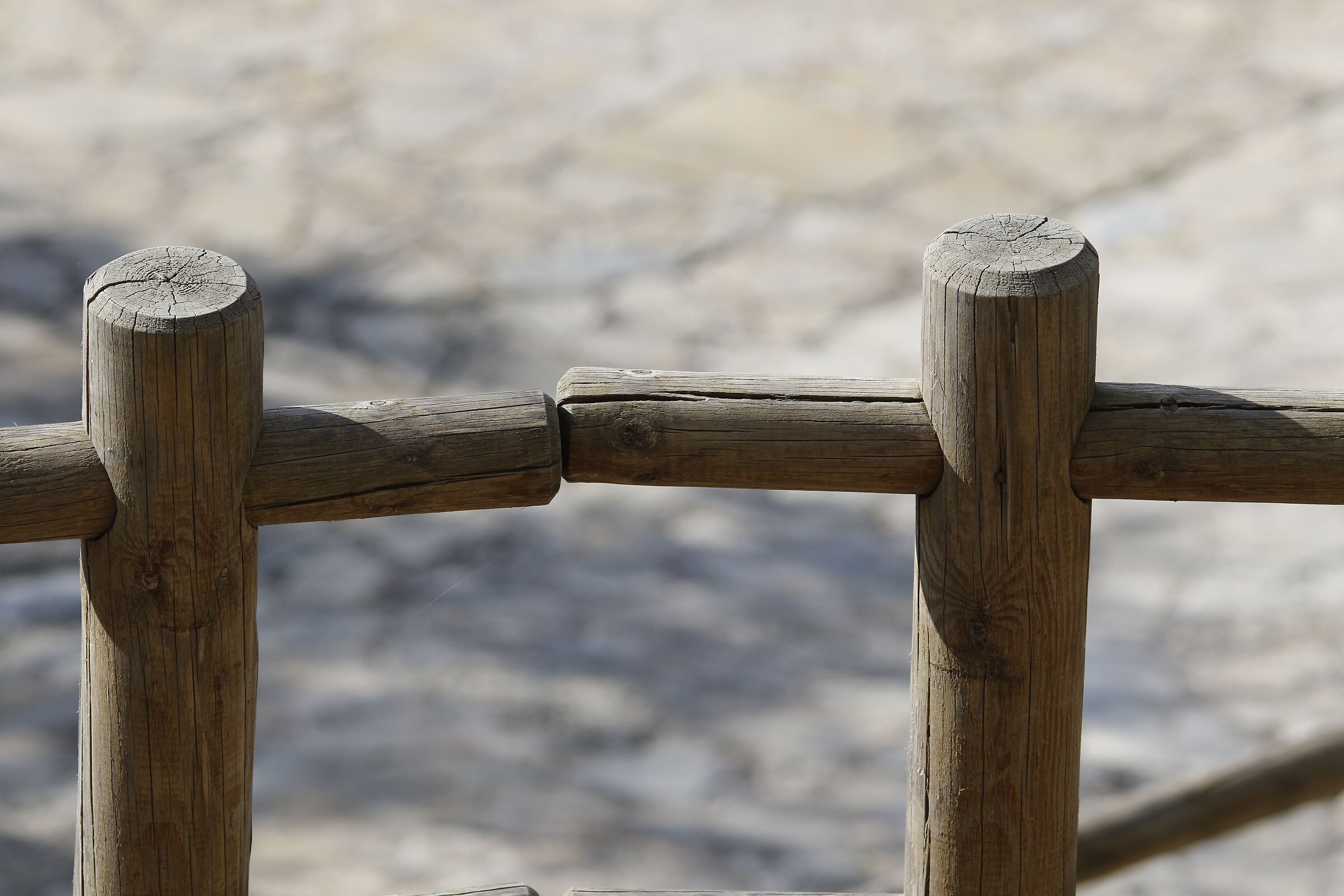 " Crop 300 ", Canon 135 F. 2 L+ TC 1.4 x iii, 7 D ...