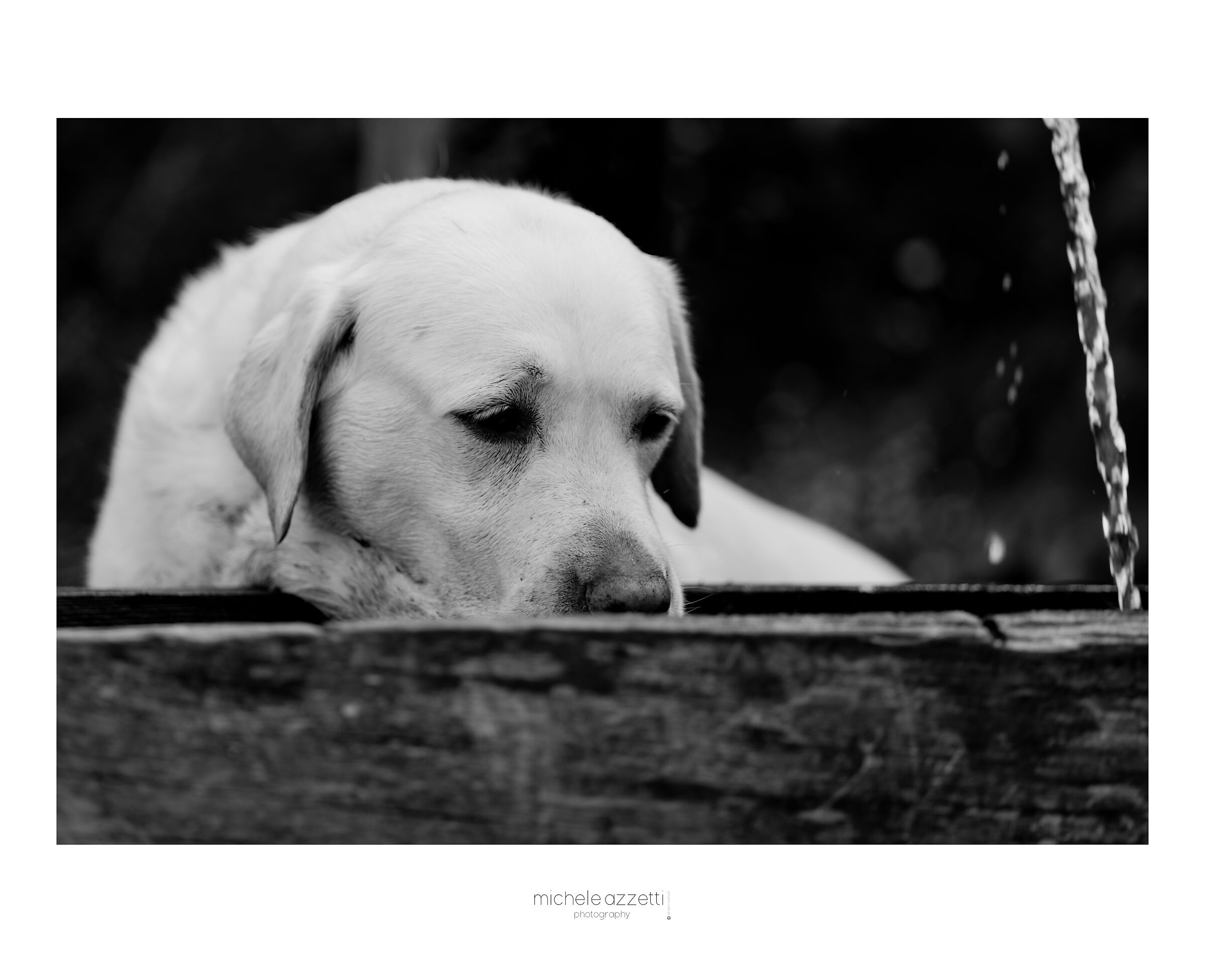 Martina